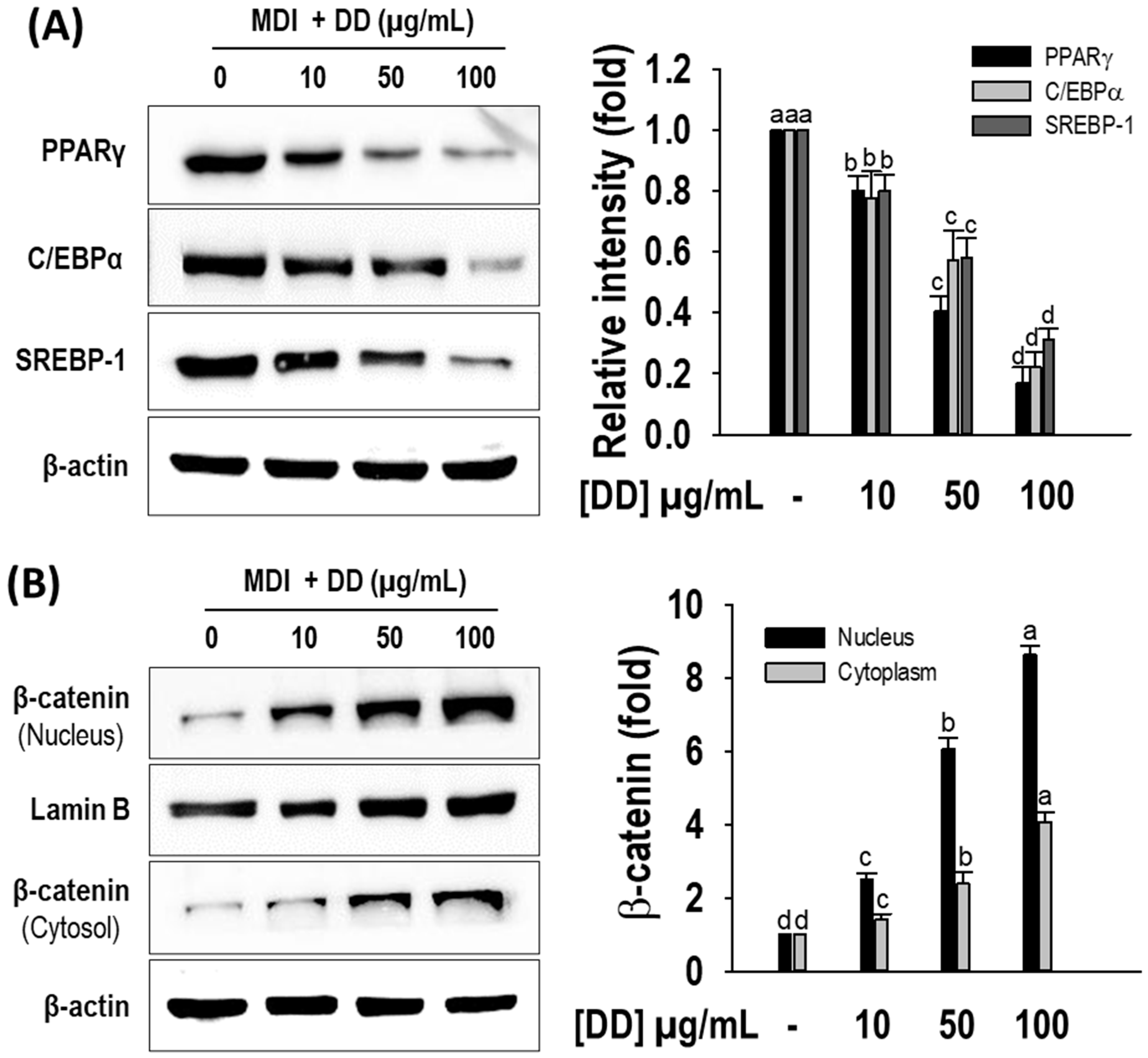 Marinedrugs 22 00091 g004 Marinedrugs 22 00091 g004