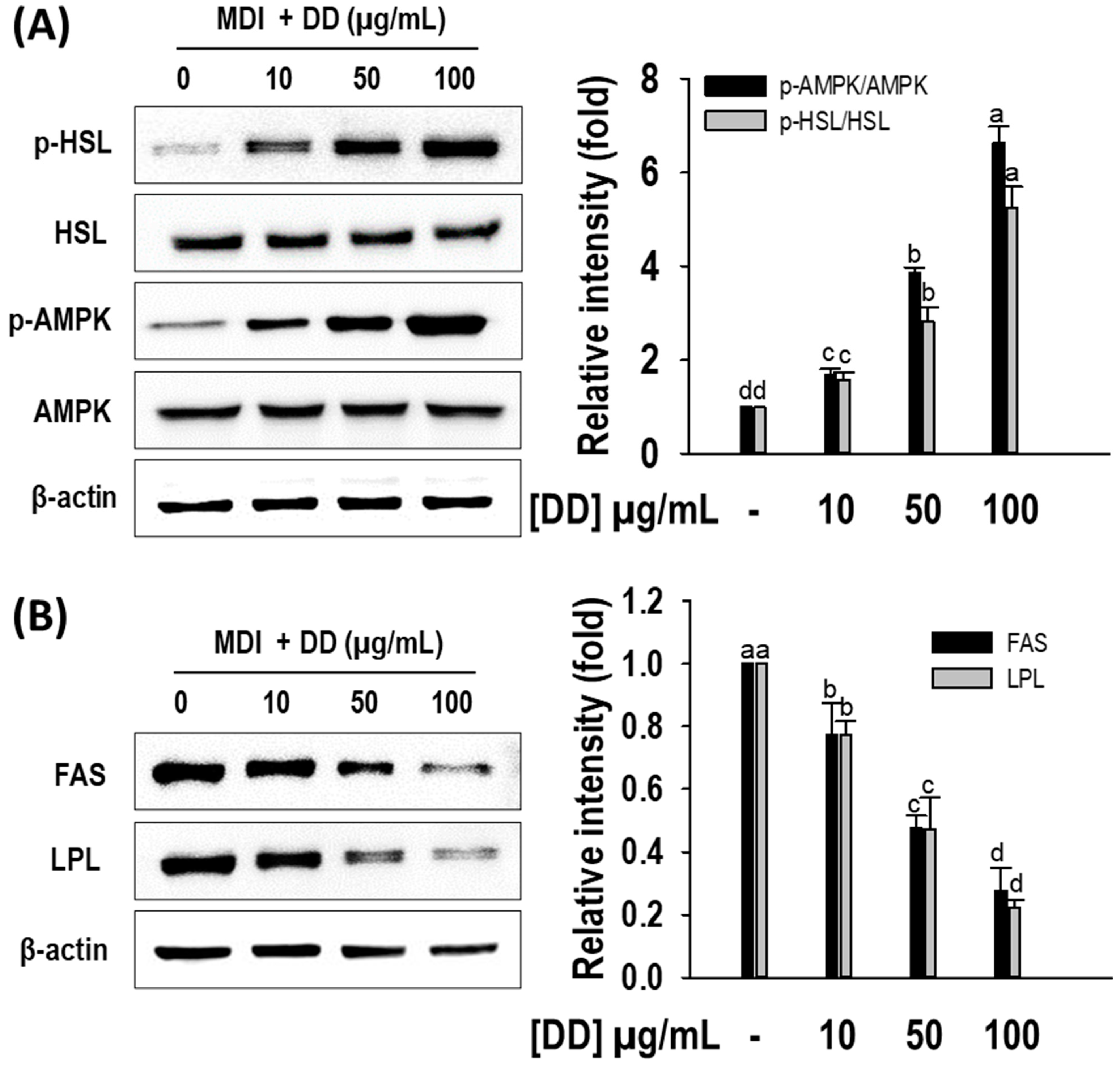 Marinedrugs 22 00091 g005 Marinedrugs 22 00091 g005