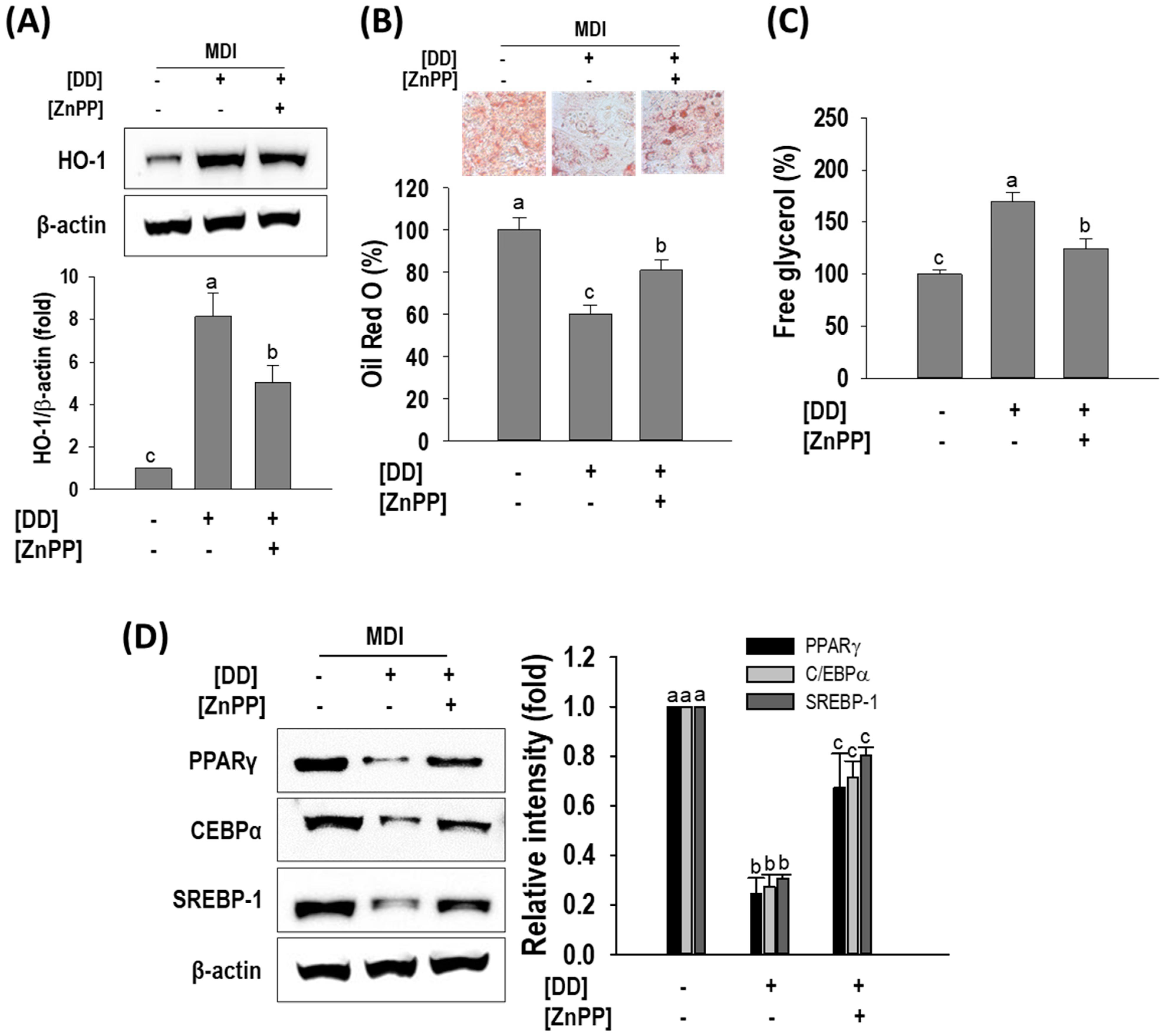 Marinedrugs 22 00091 g007 Marinedrugs 22 00091 g007