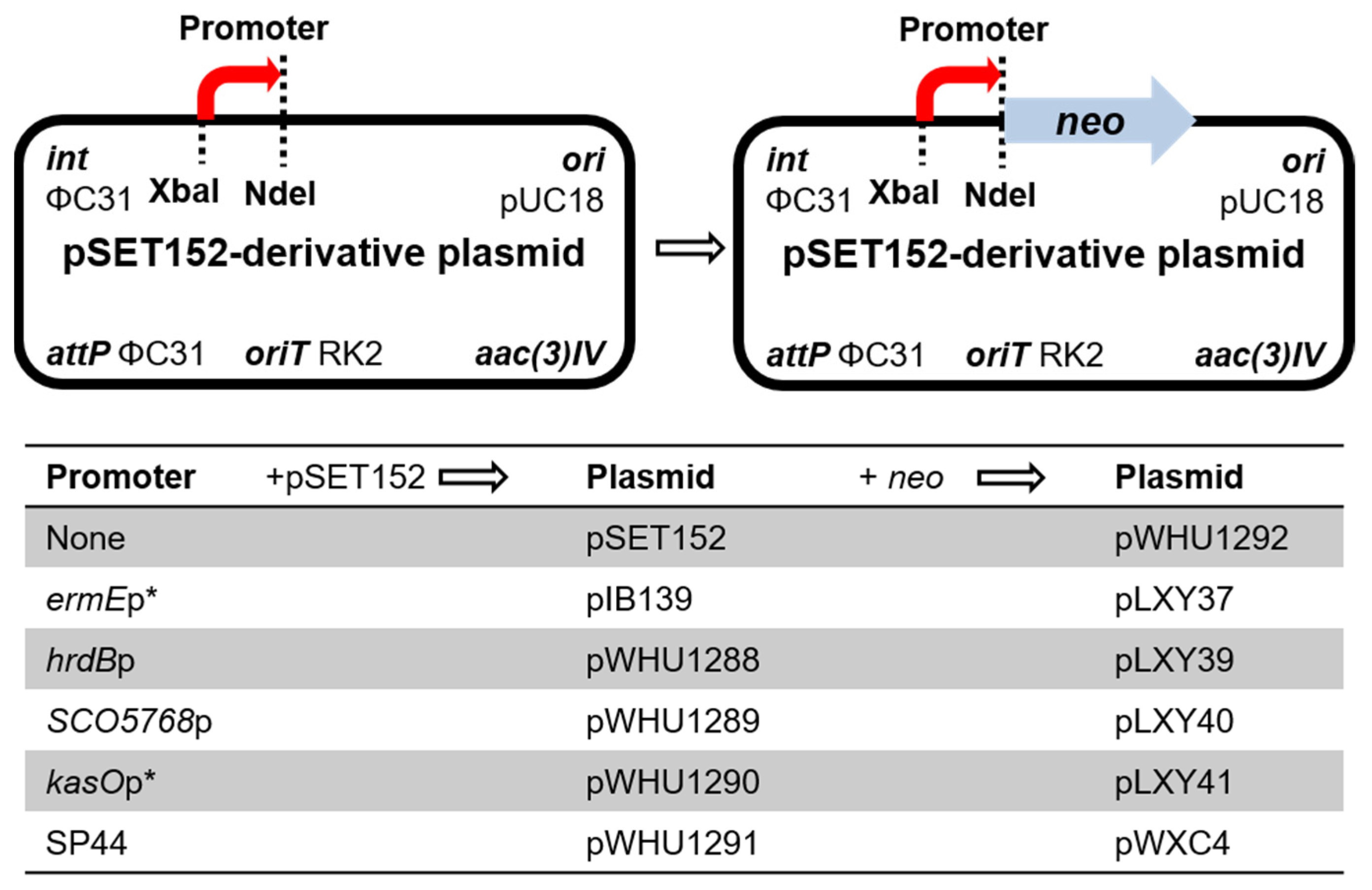 Marinedrugs 22 00094 g001