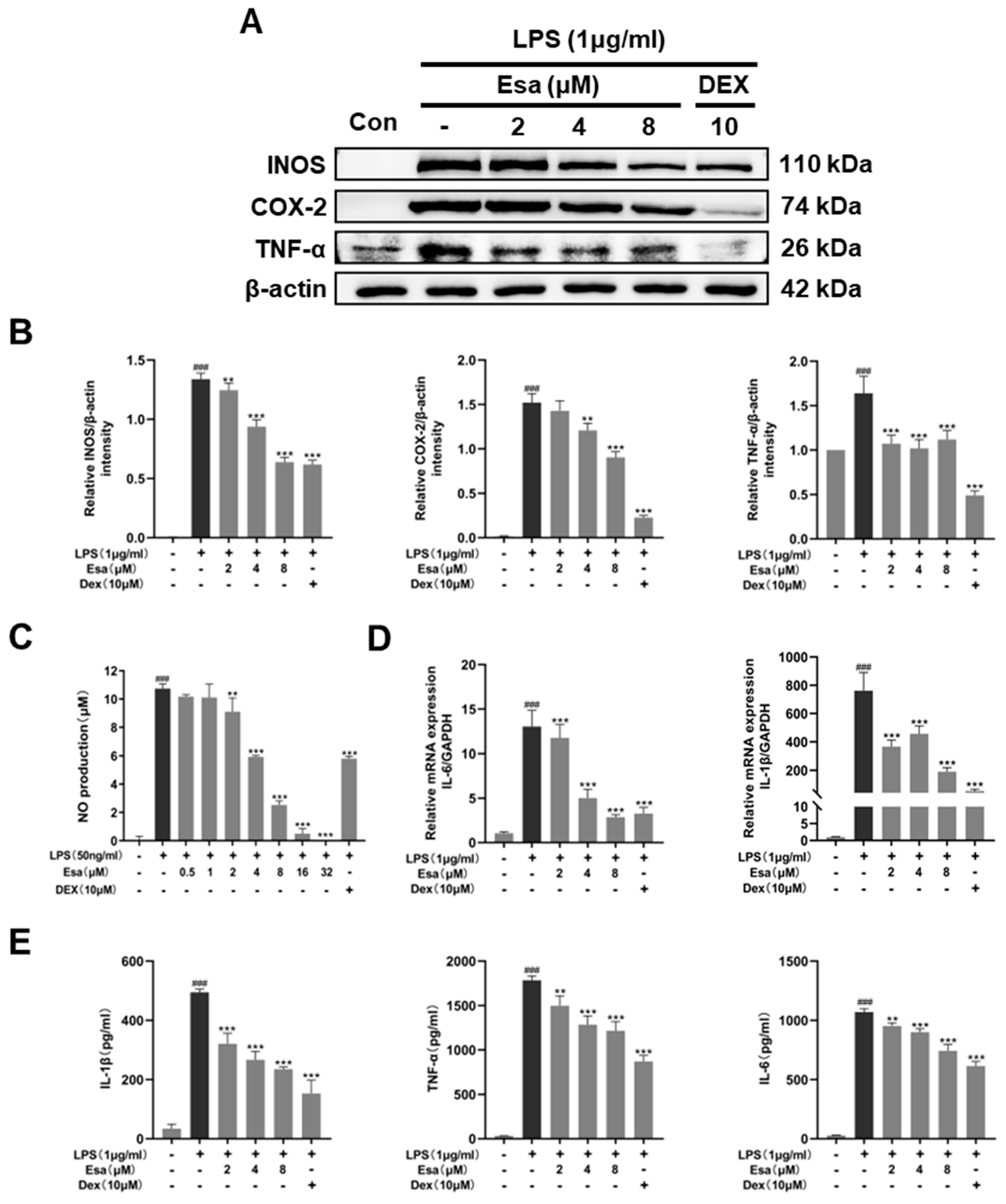 Marinedrugs 22 00095 g002