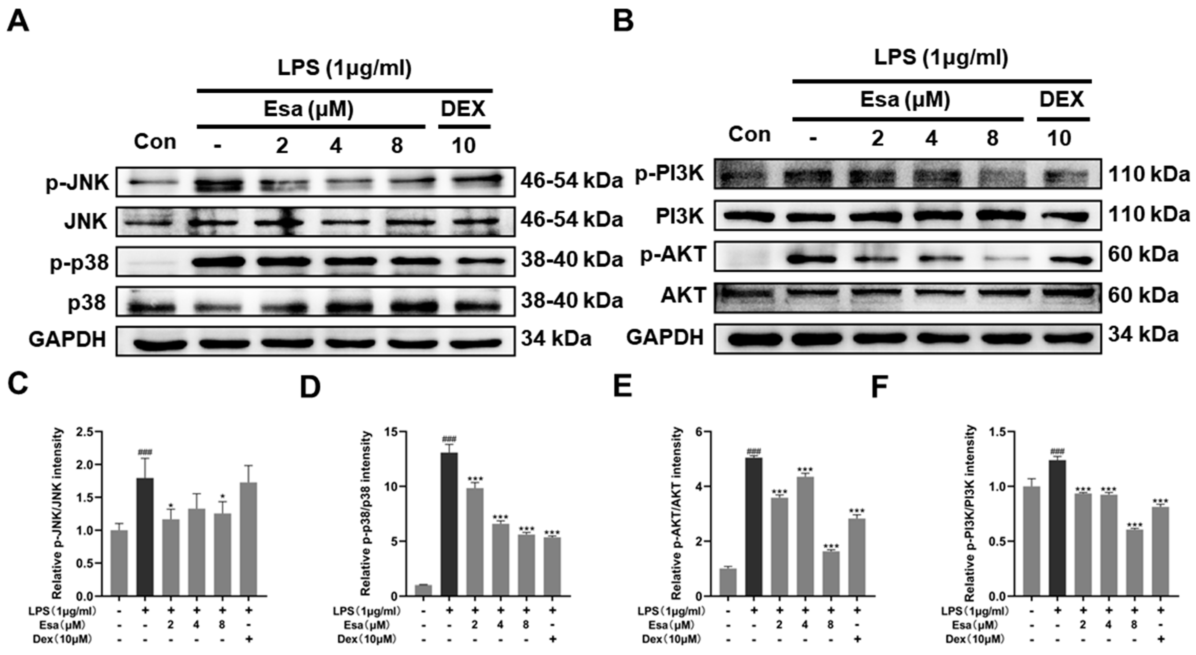 Marinedrugs 22 00095 g005