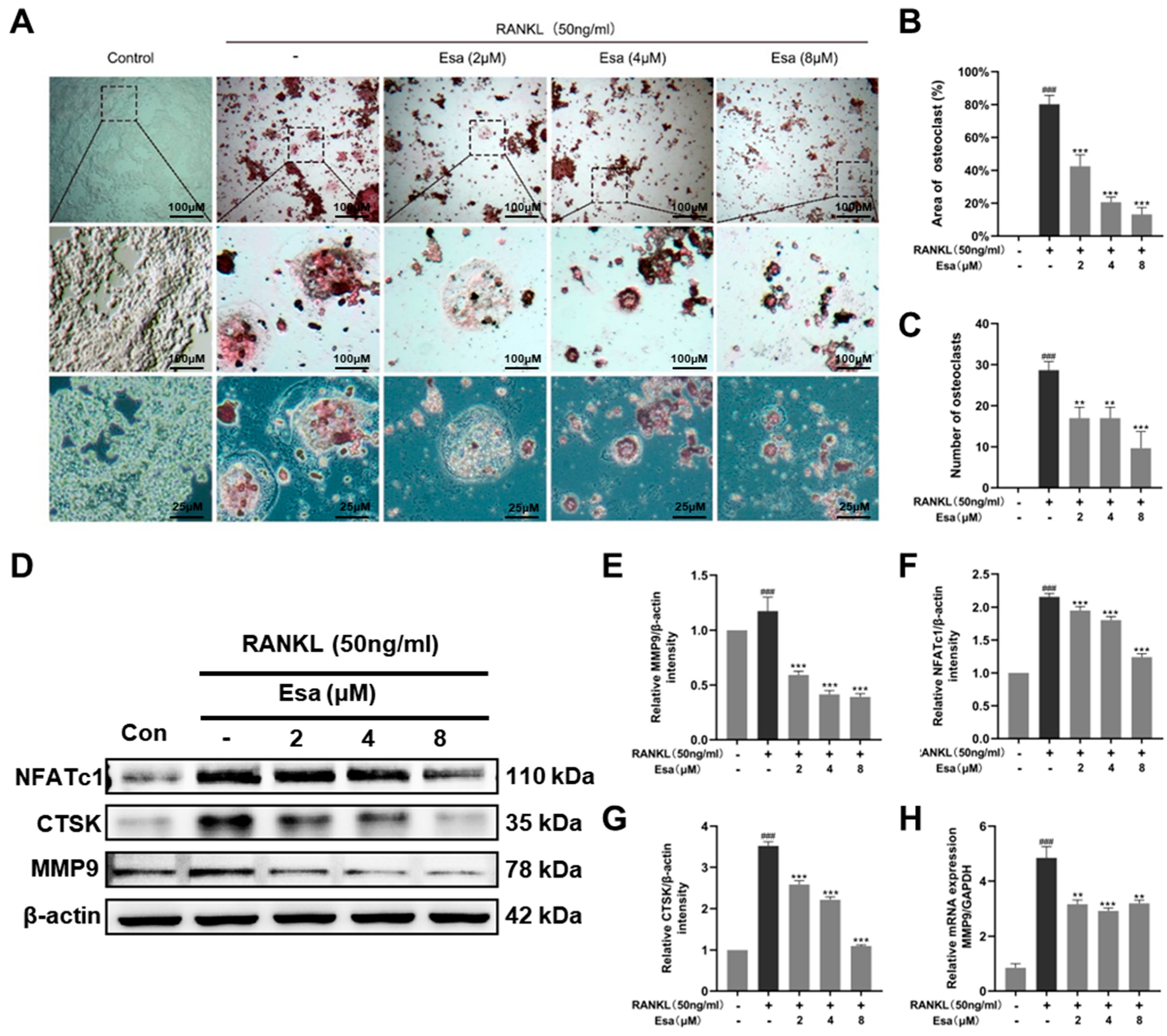 Marinedrugs 22 00095 g006
