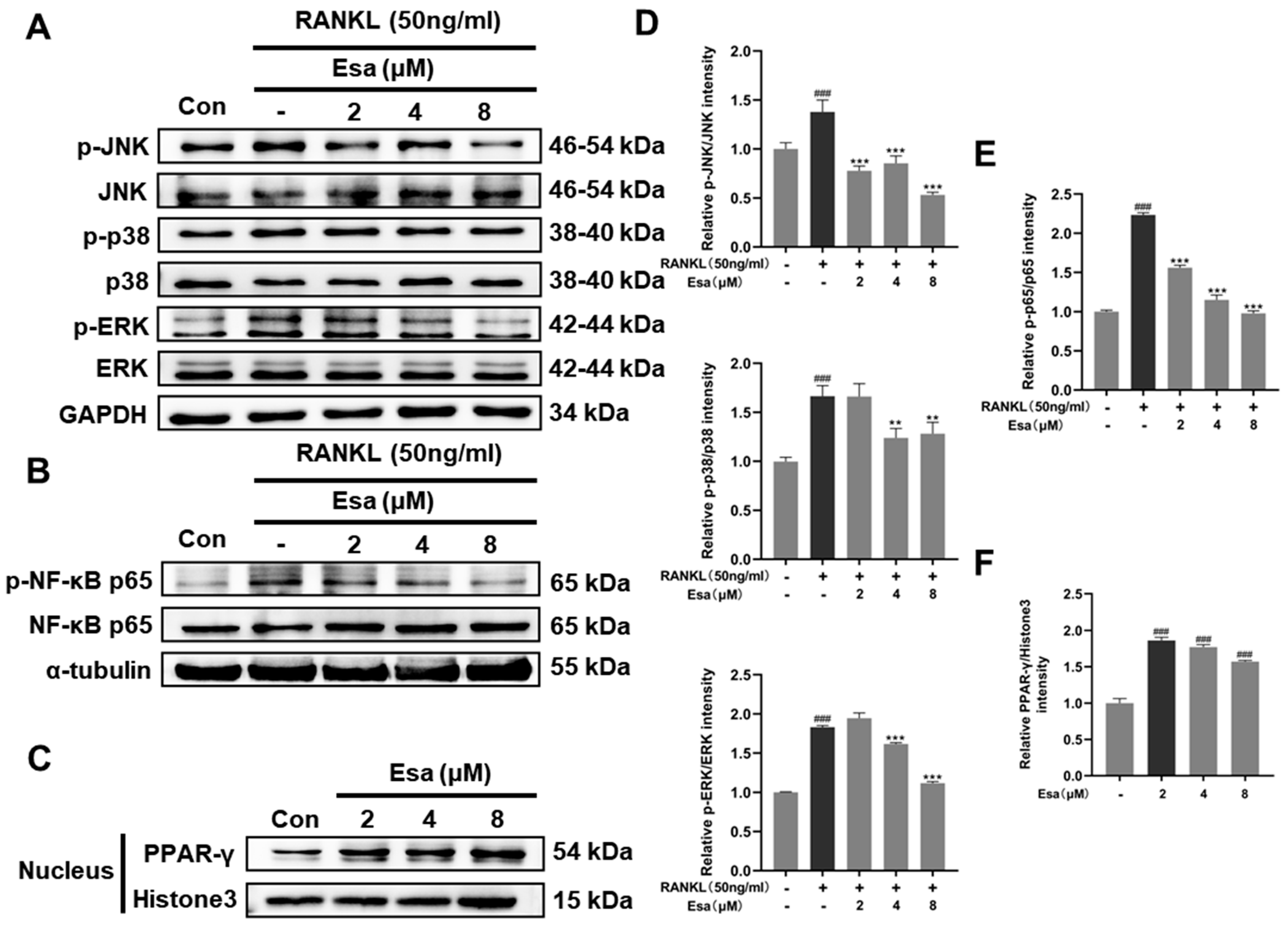 Marinedrugs 22 00095 g007