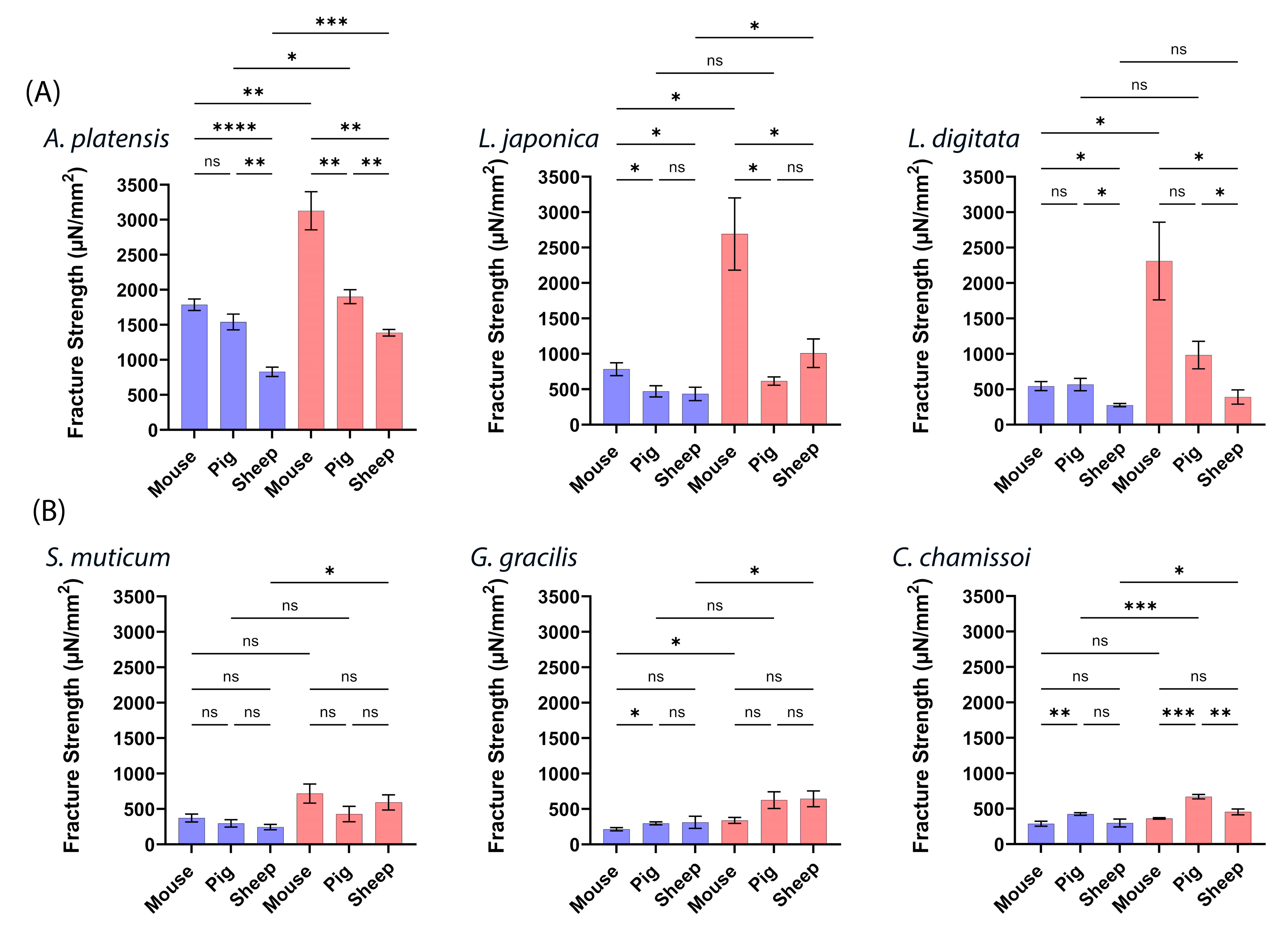 Marinedrugs 22 00098 g006