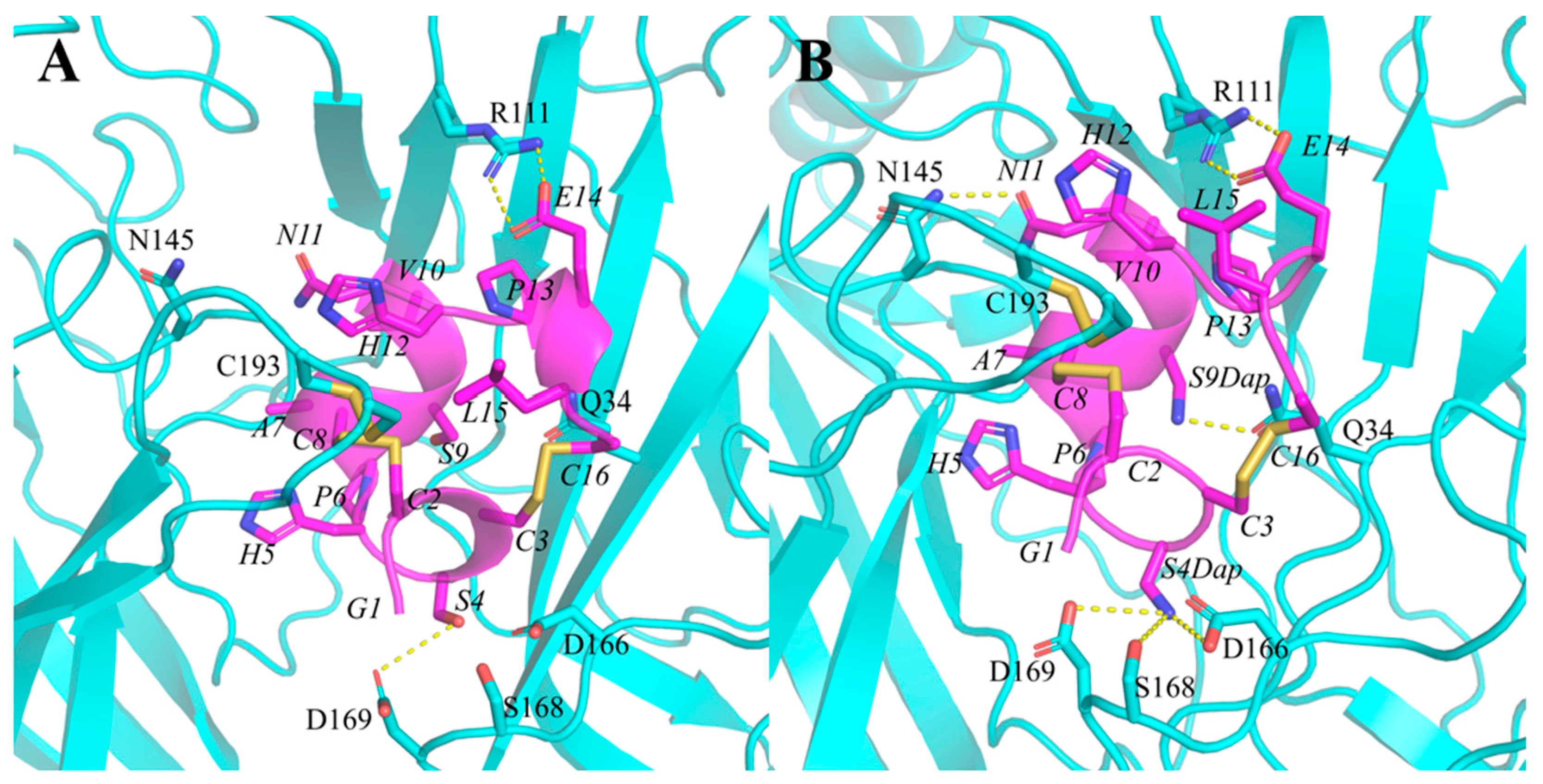 Marinedrugs 22 00110 g006