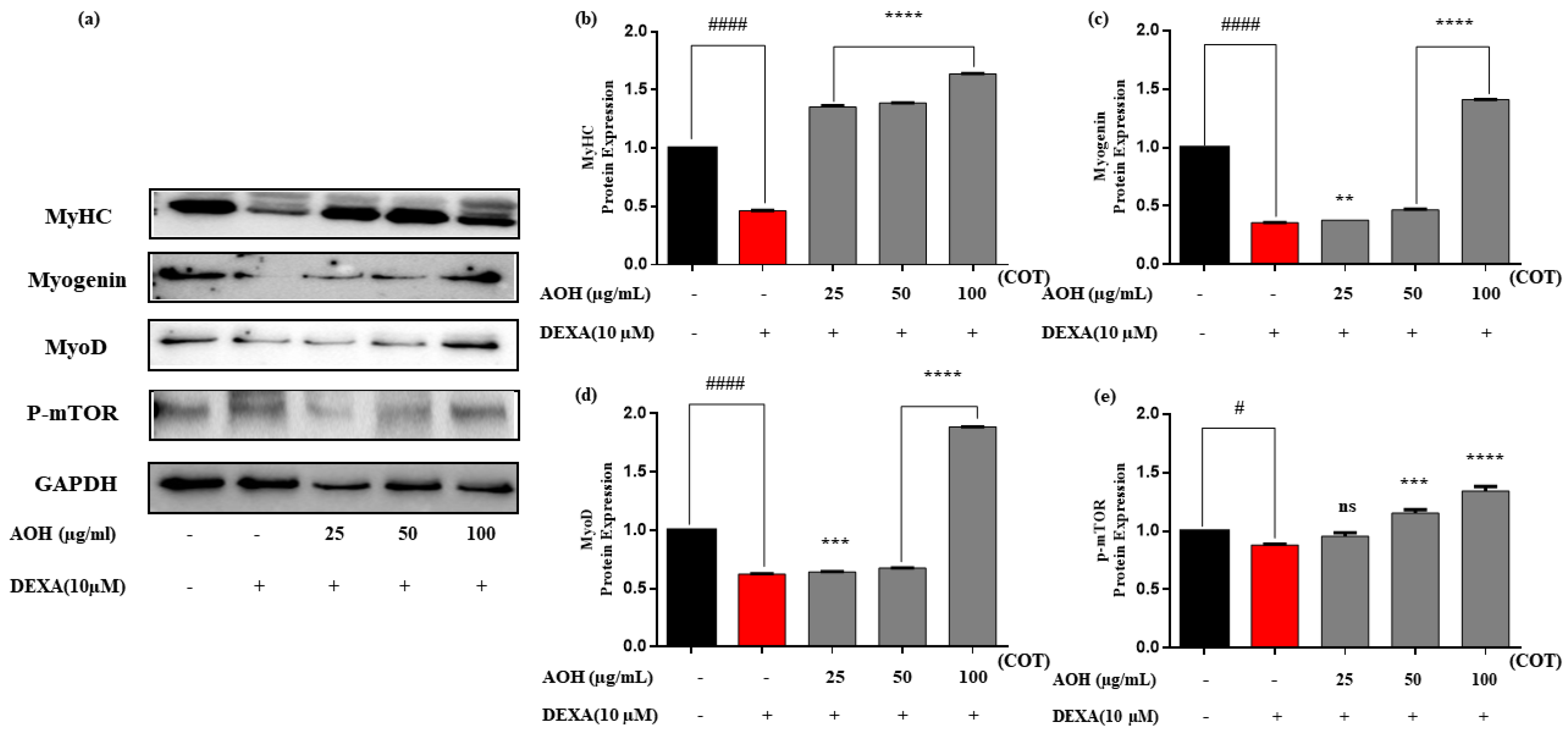 Marinedrugs 22 00113 g004