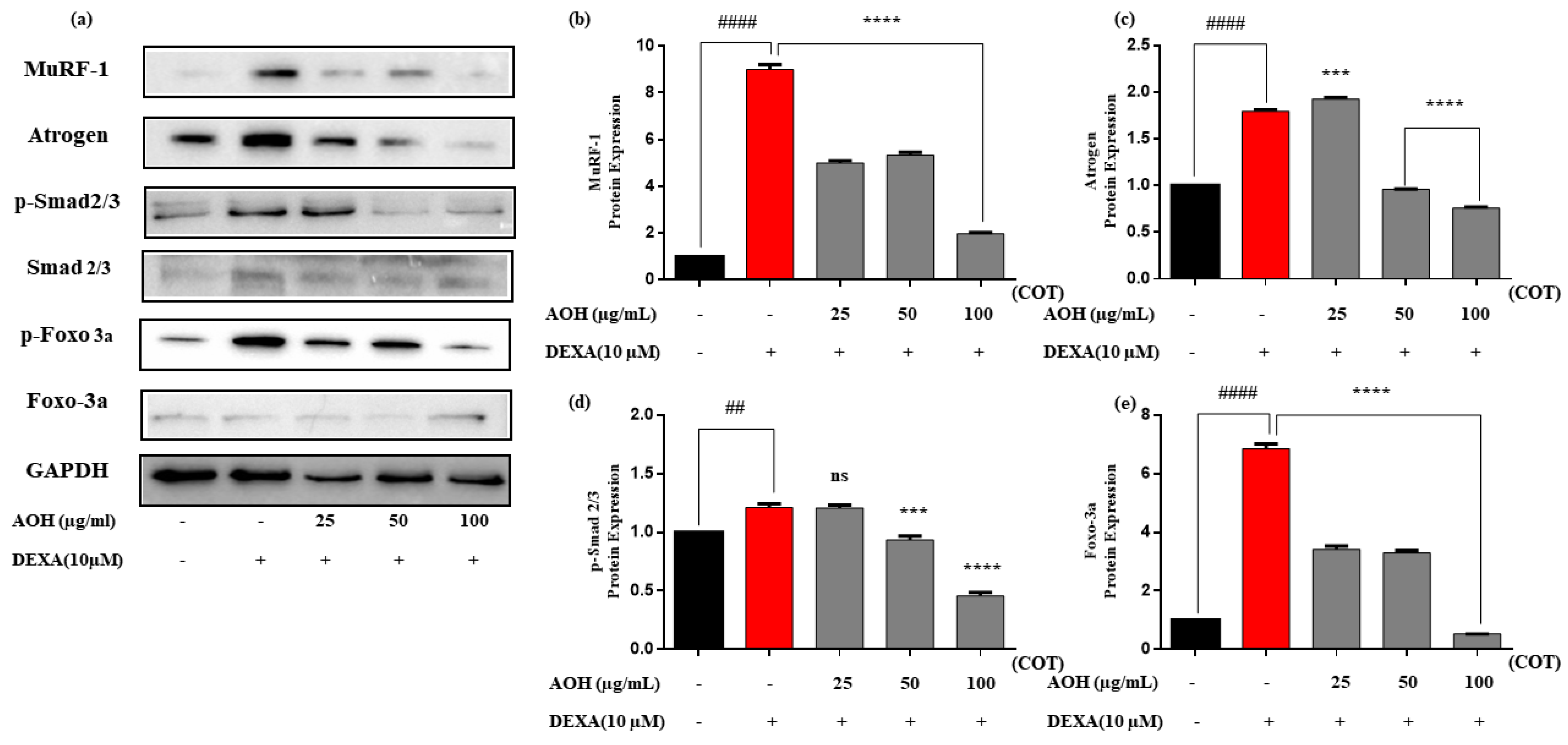 Marinedrugs 22 00113 g005