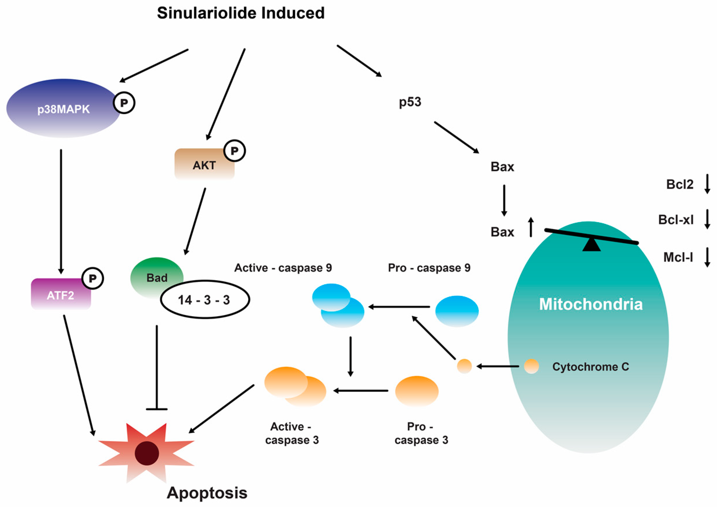 Marinedrugs 22 00114 g003 Marinedrugs 22 00114 g003