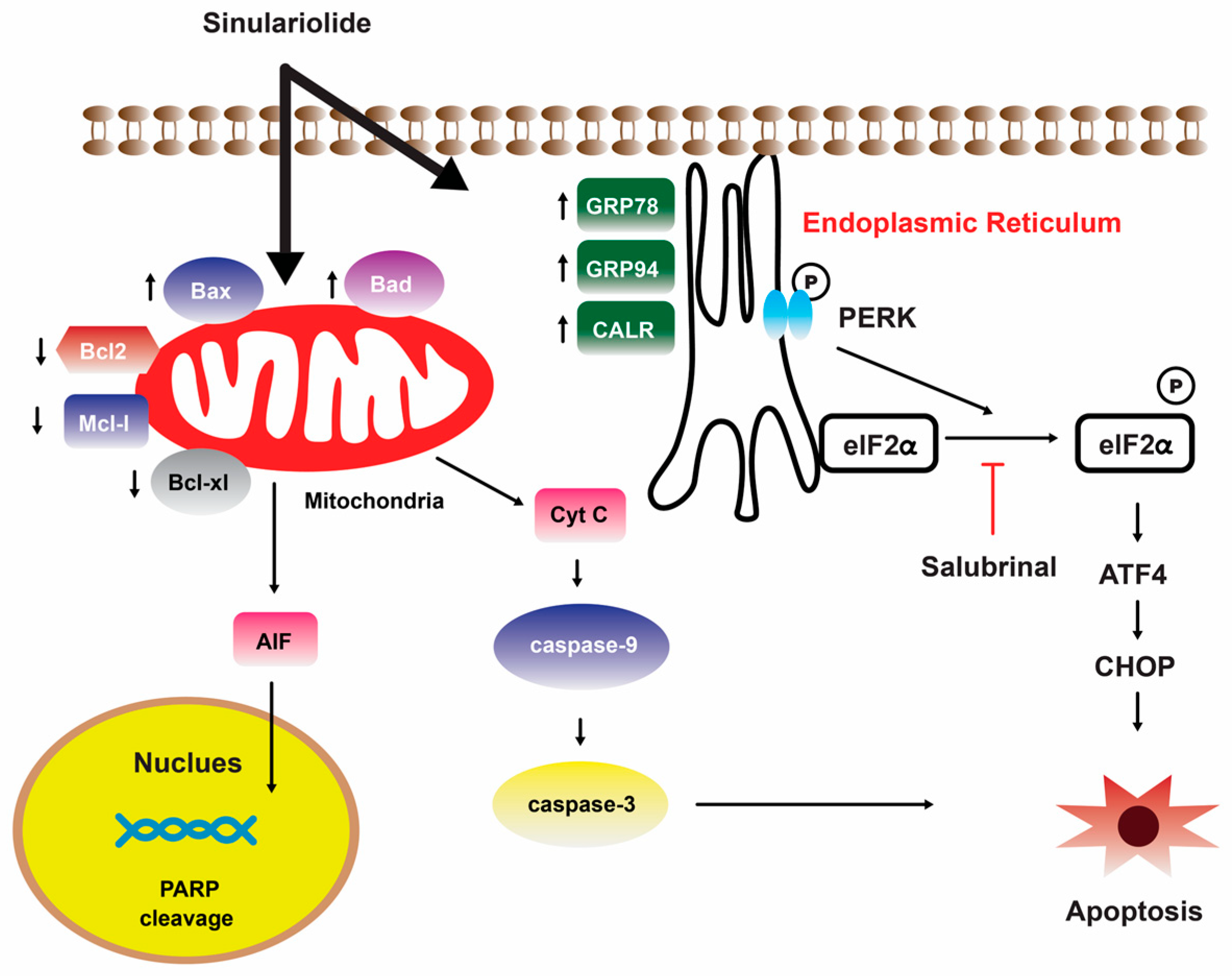 Marinedrugs 22 00114 g005 Marinedrugs 22 00114 g005