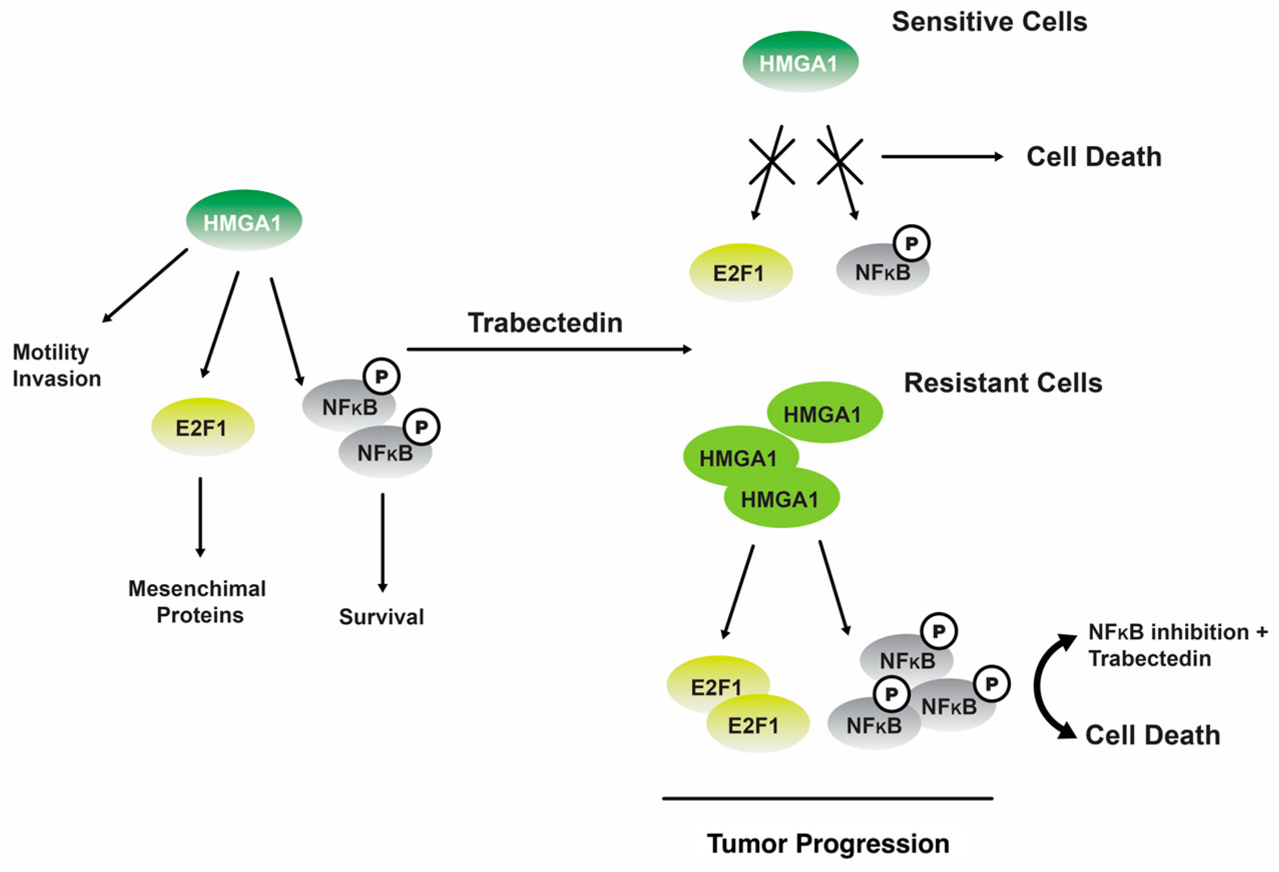 Marinedrugs 22 00114 g006 Marinedrugs 22 00114 g006