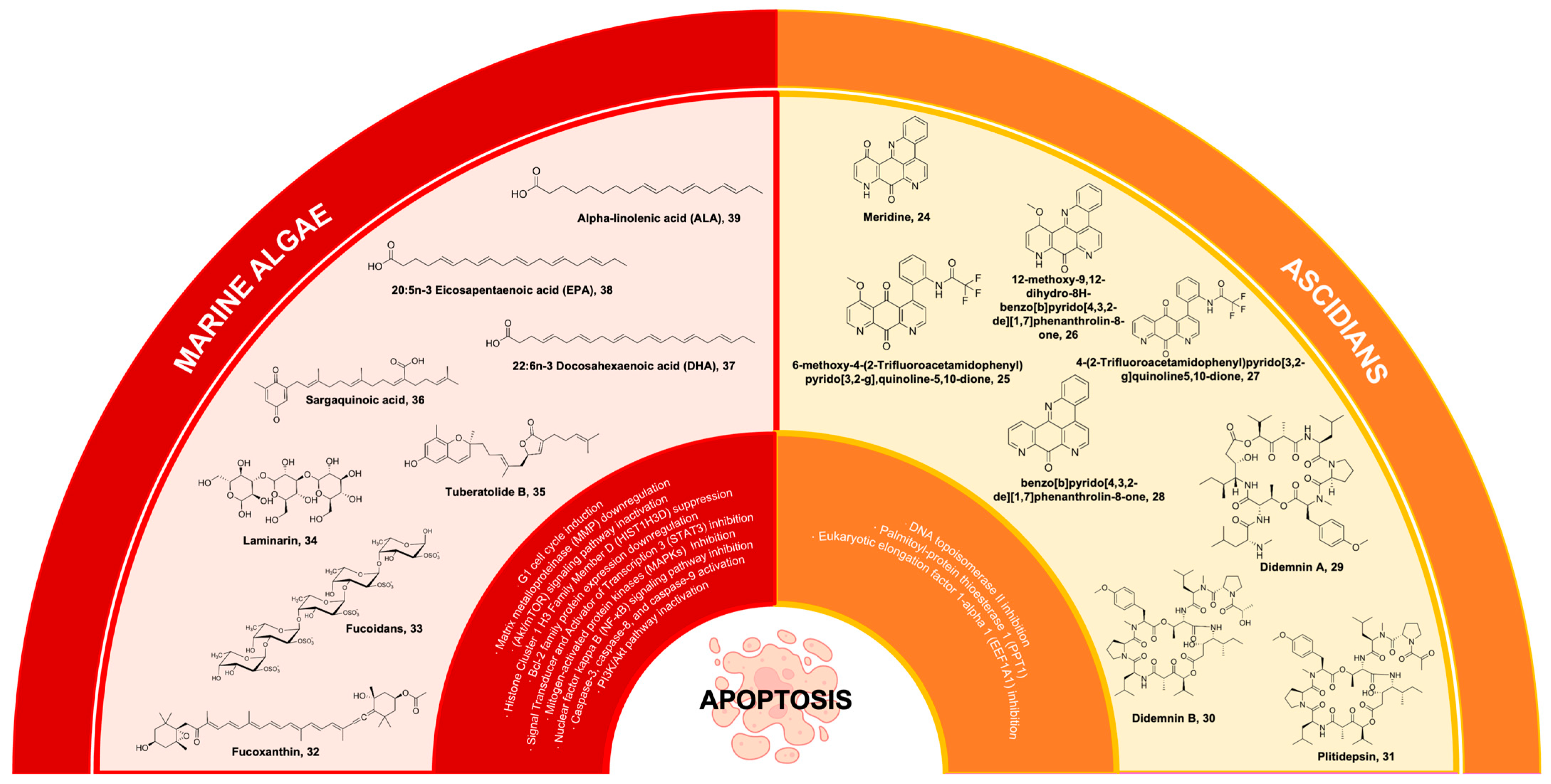 Marinedrugs 22 00114 g007 Marinedrugs 22 00114 g007