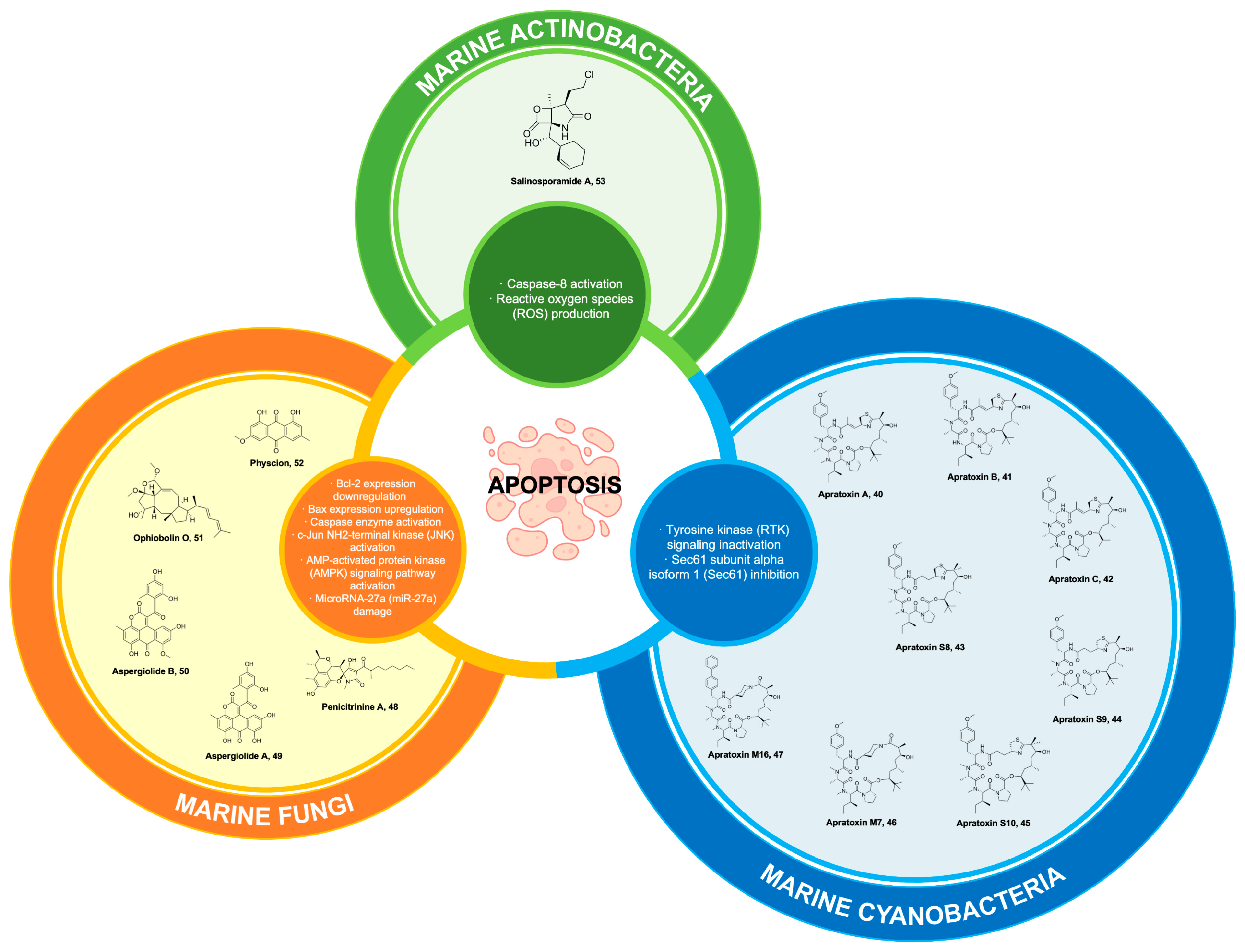 Marinedrugs 22 00114 g008 Marinedrugs 22 00114 g008