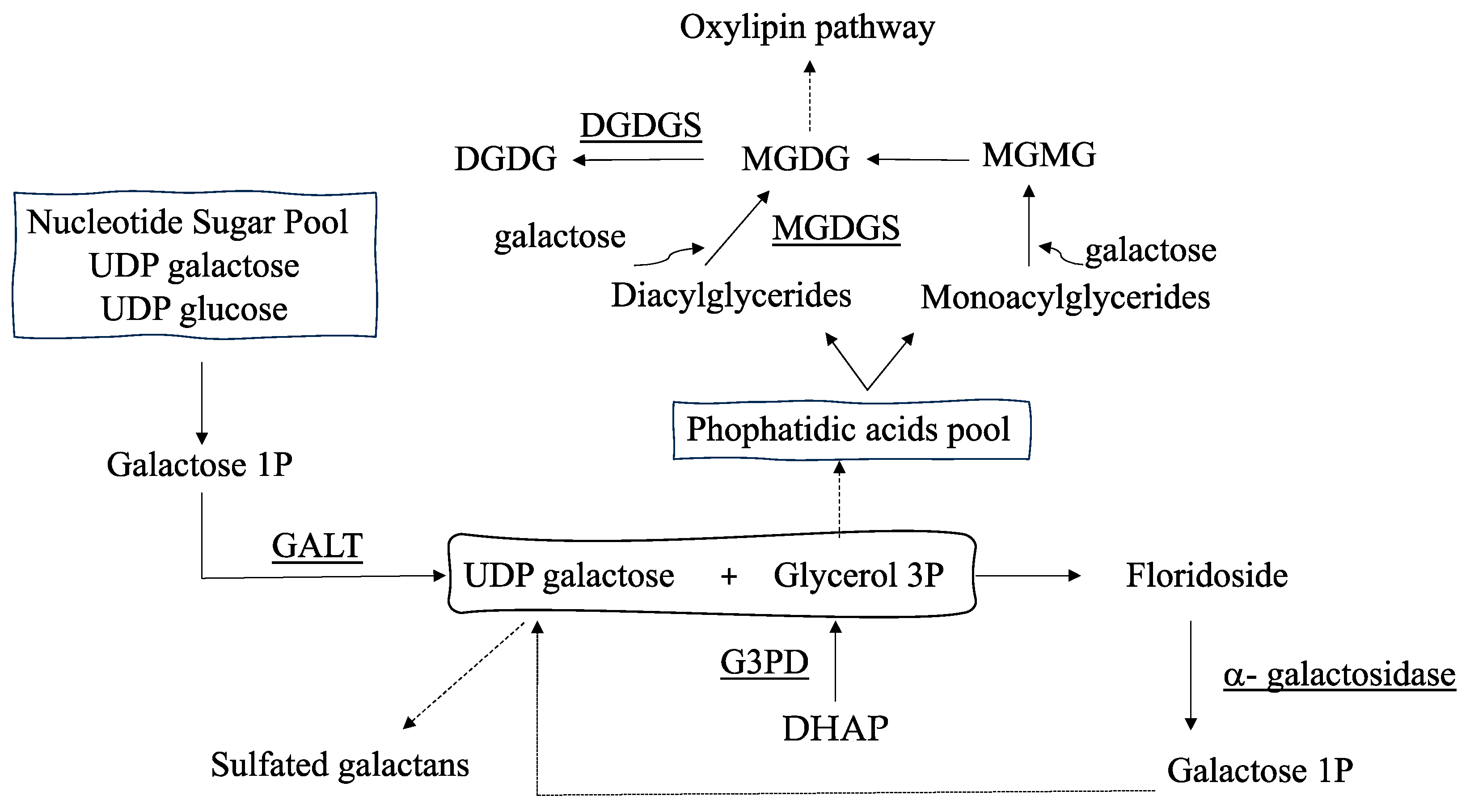 Marinedrugs 22 00115 g001