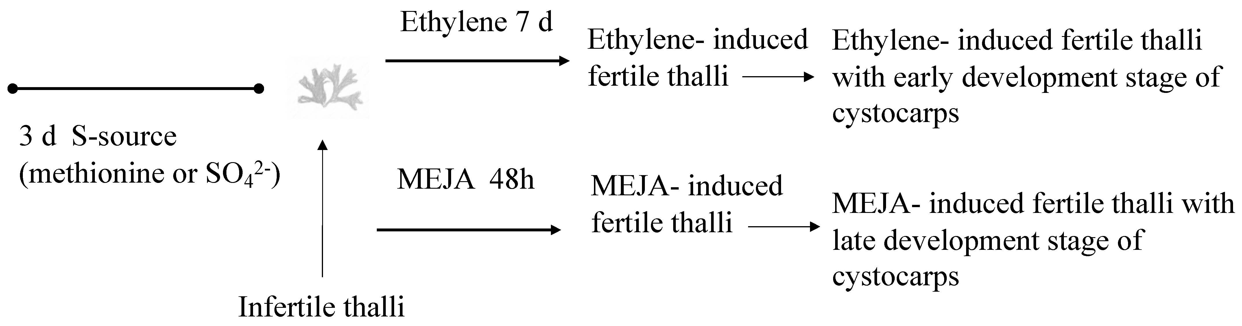 Marinedrugs 22 00115 g005