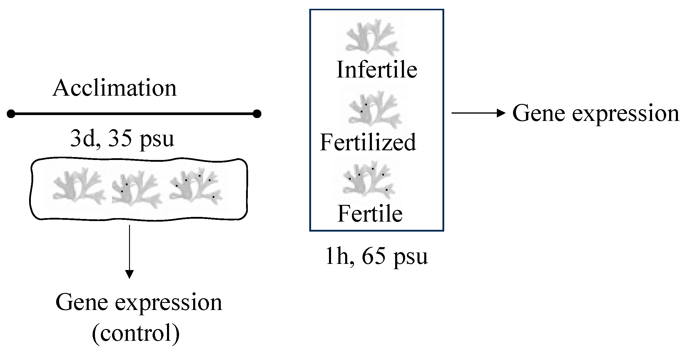 Marinedrugs 22 00115 g006