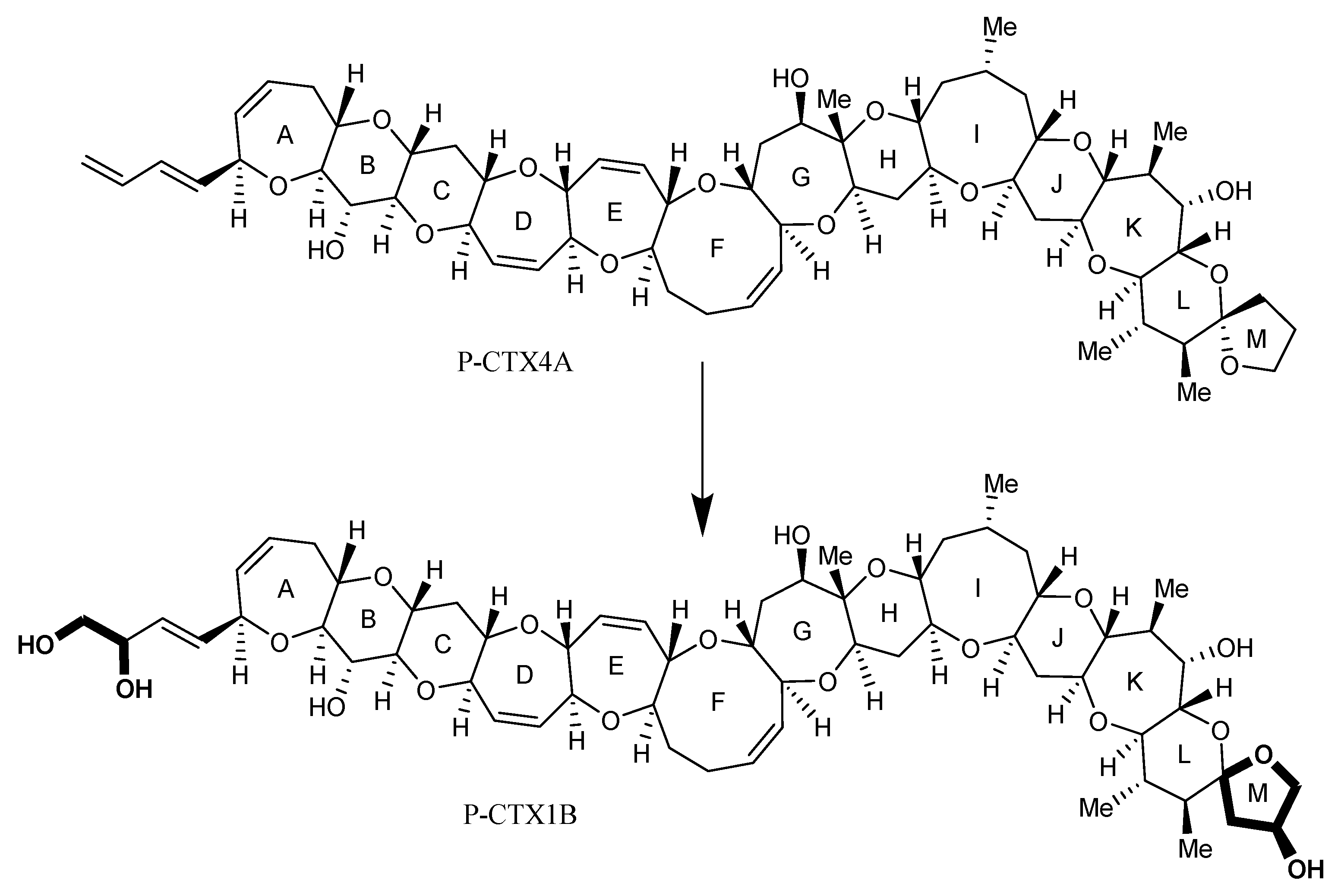 Marinedrugs 22 00119 g002