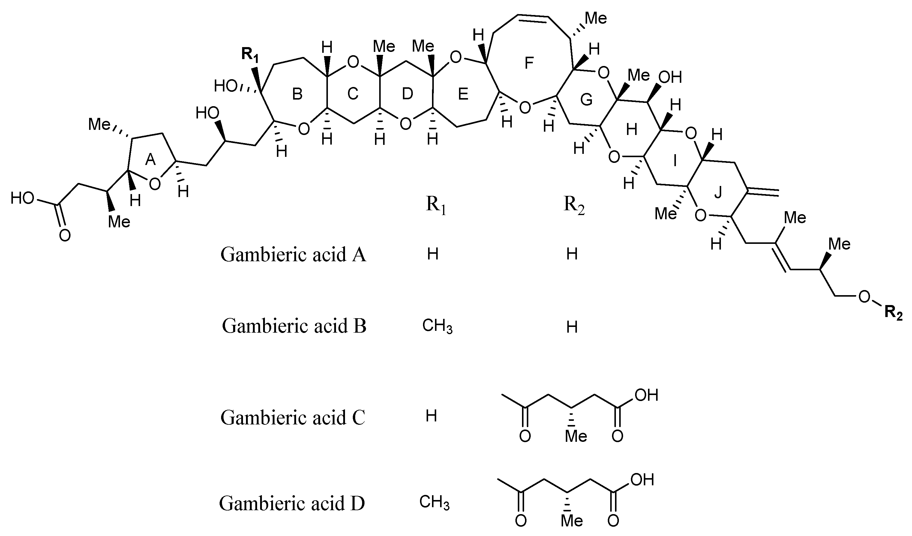 Marinedrugs 22 00119 g007