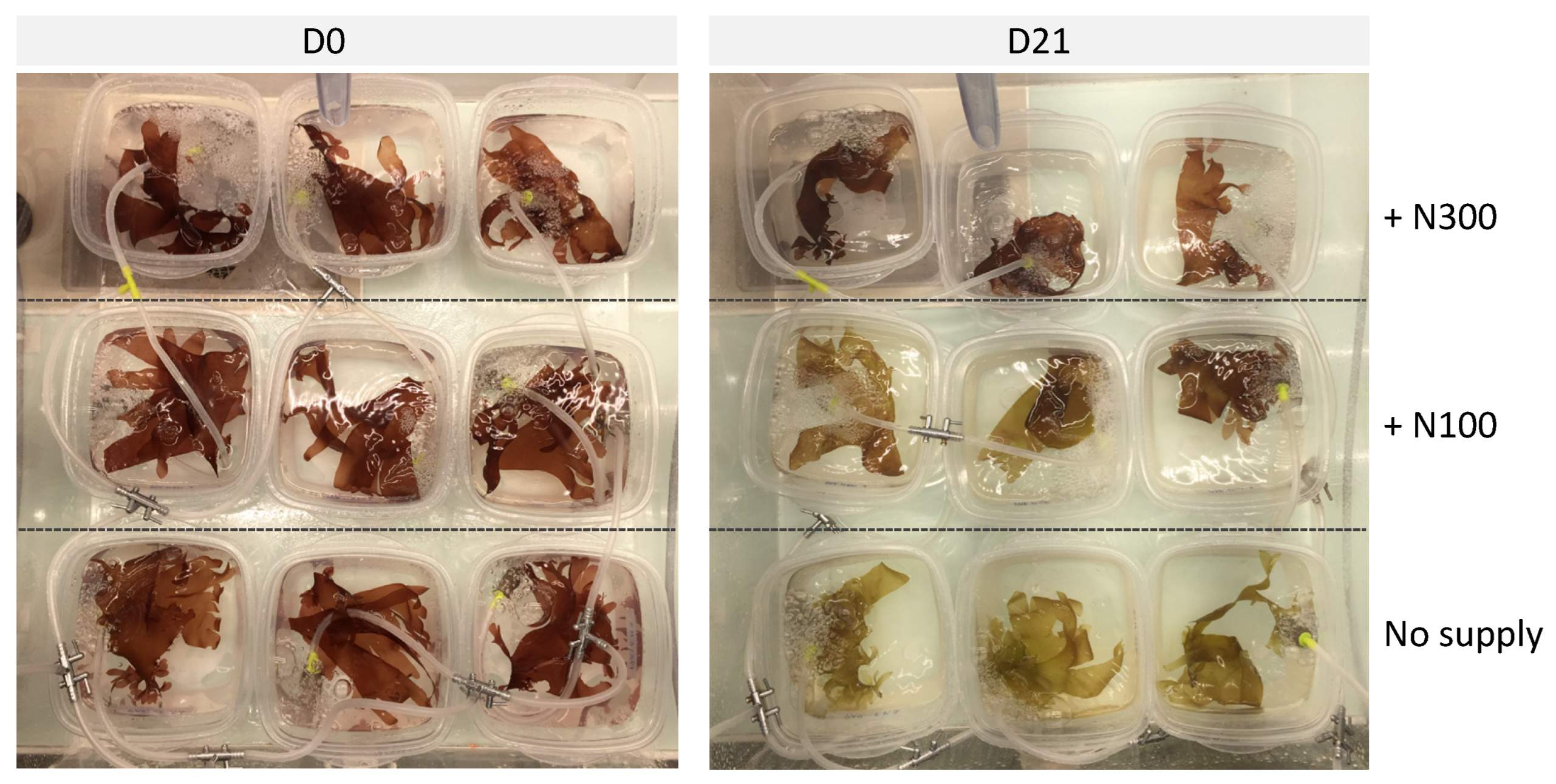 Marinedrugs 22 00121 g005