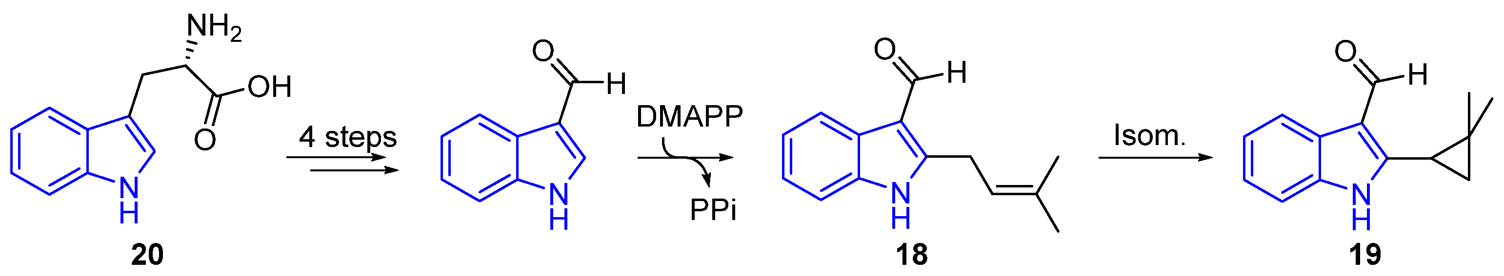 Marinedrugs 22 00126 g008