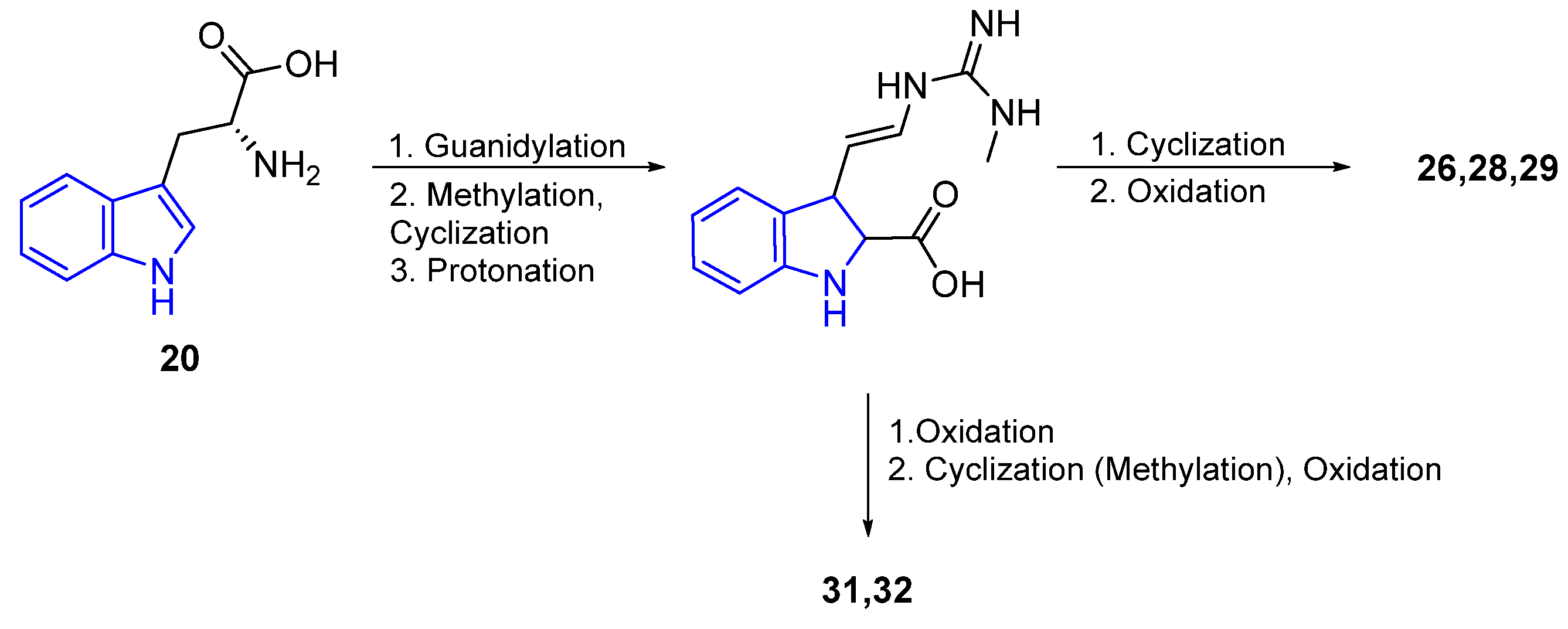 Marinedrugs 22 00126 g011