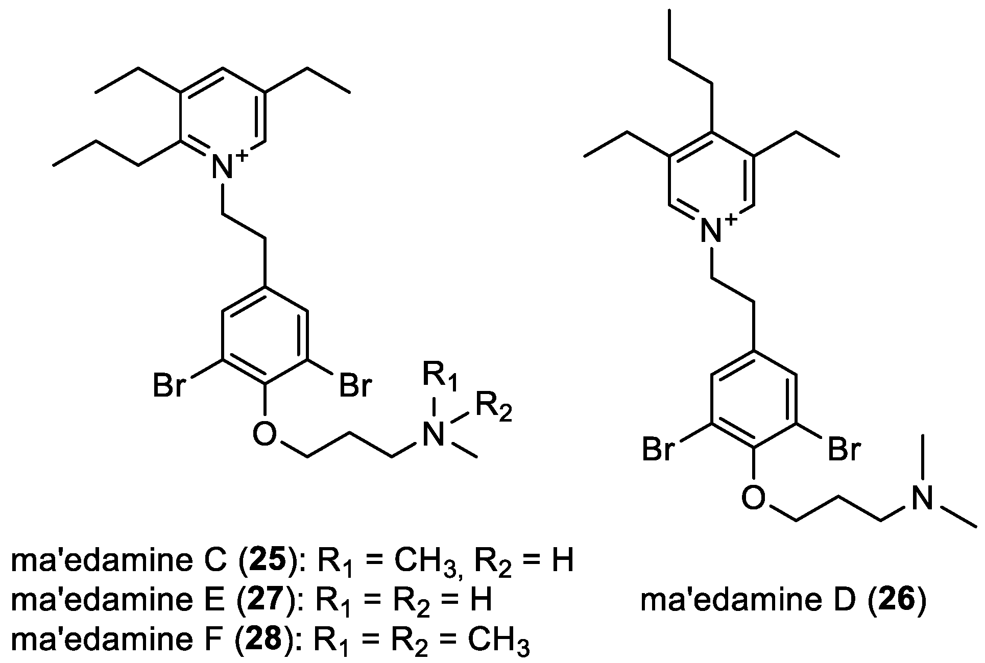 Marinedrugs 22 00132 g005