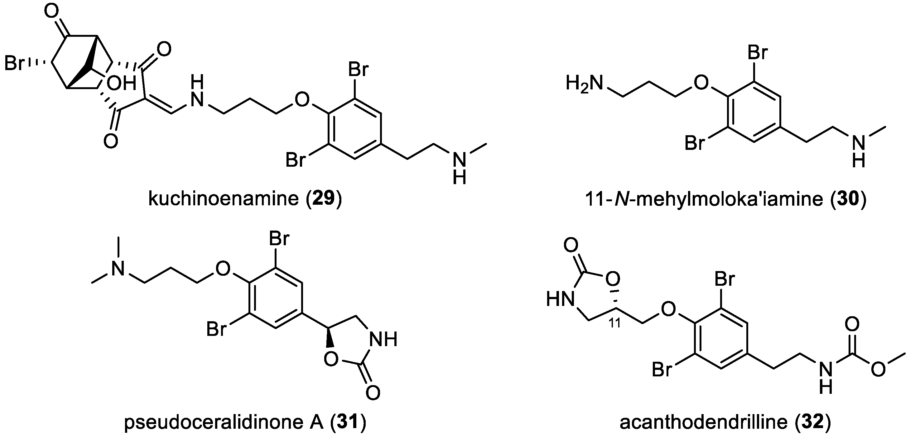 Marinedrugs 22 00132 g006