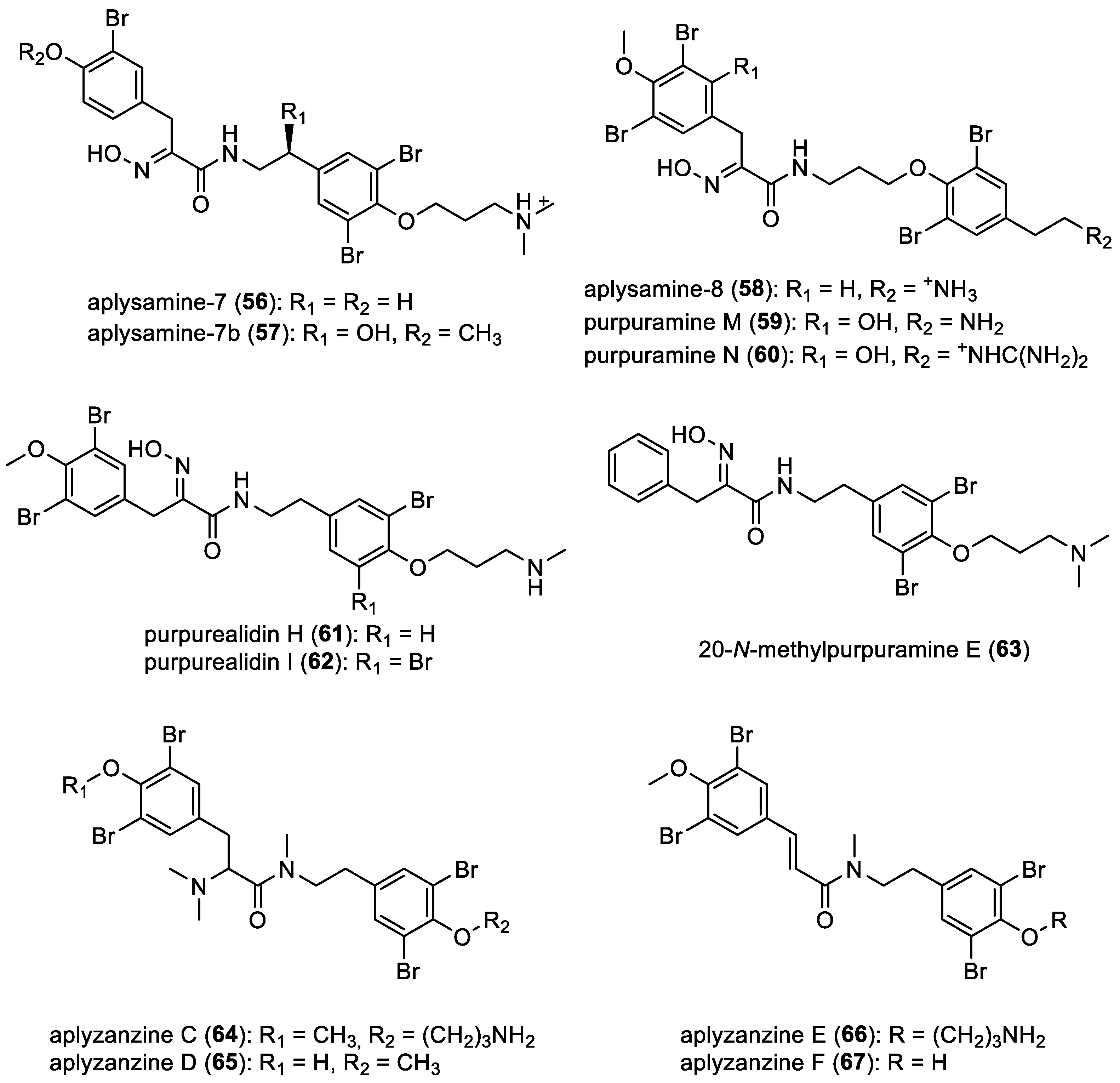 Marinedrugs 22 00132 g008
