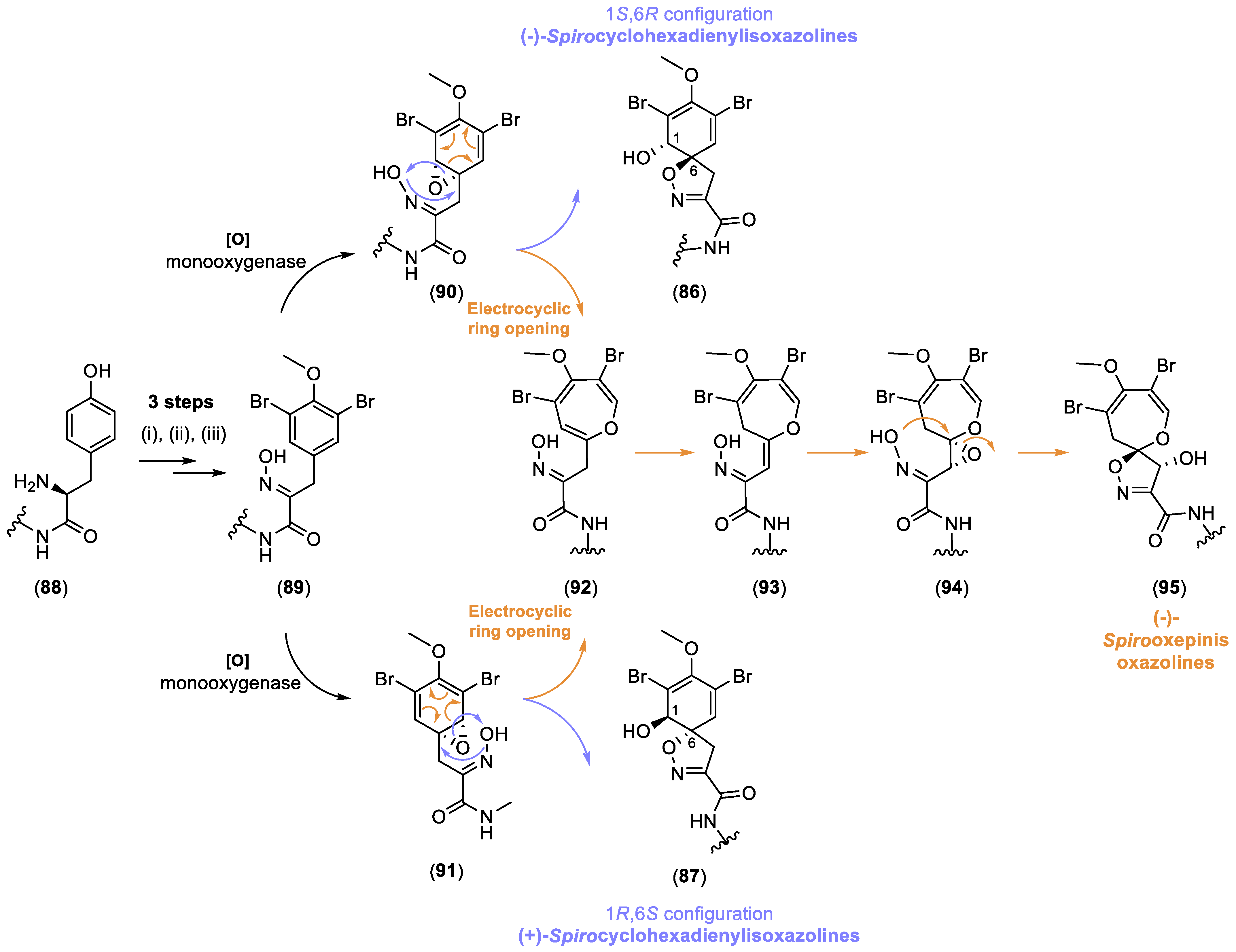 Marinedrugs 22 00132 g015