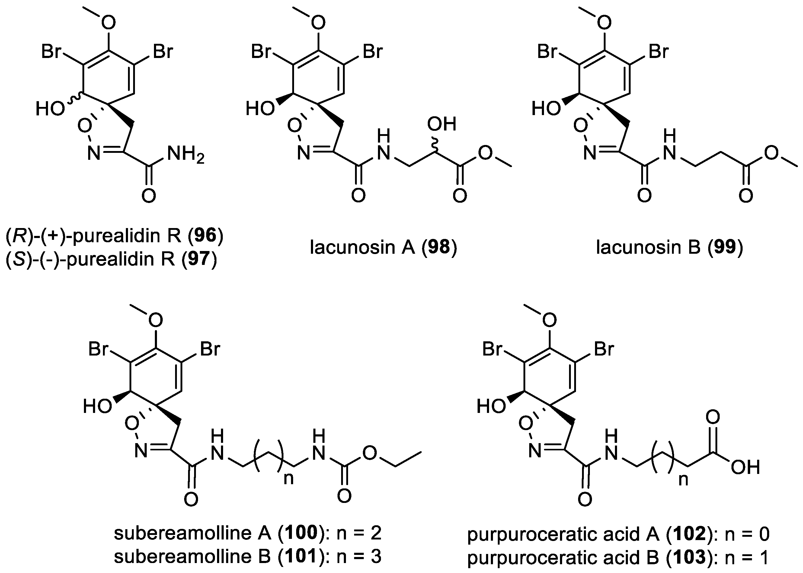 Marinedrugs 22 00132 g016