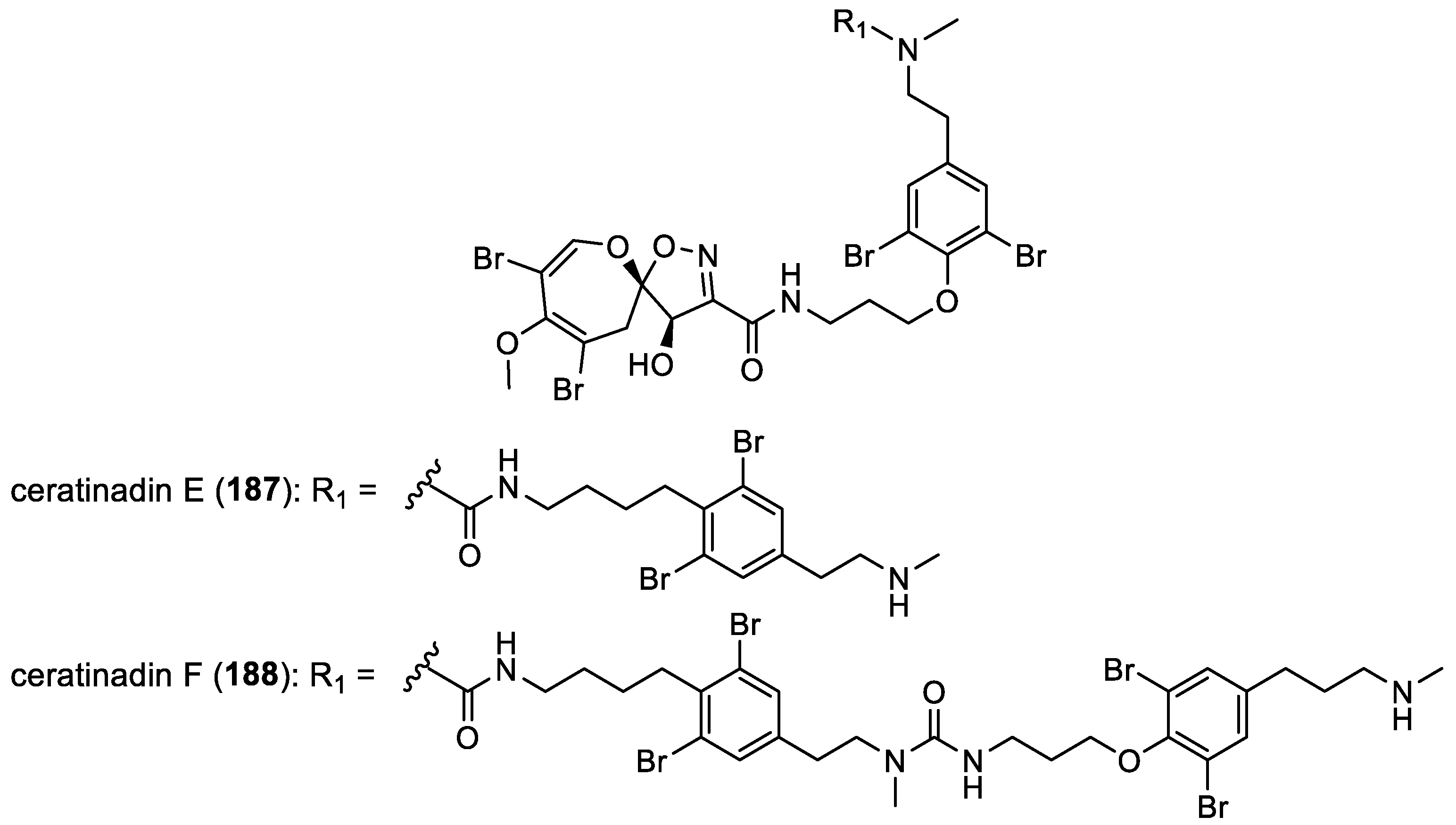 Marinedrugs 22 00132 g024