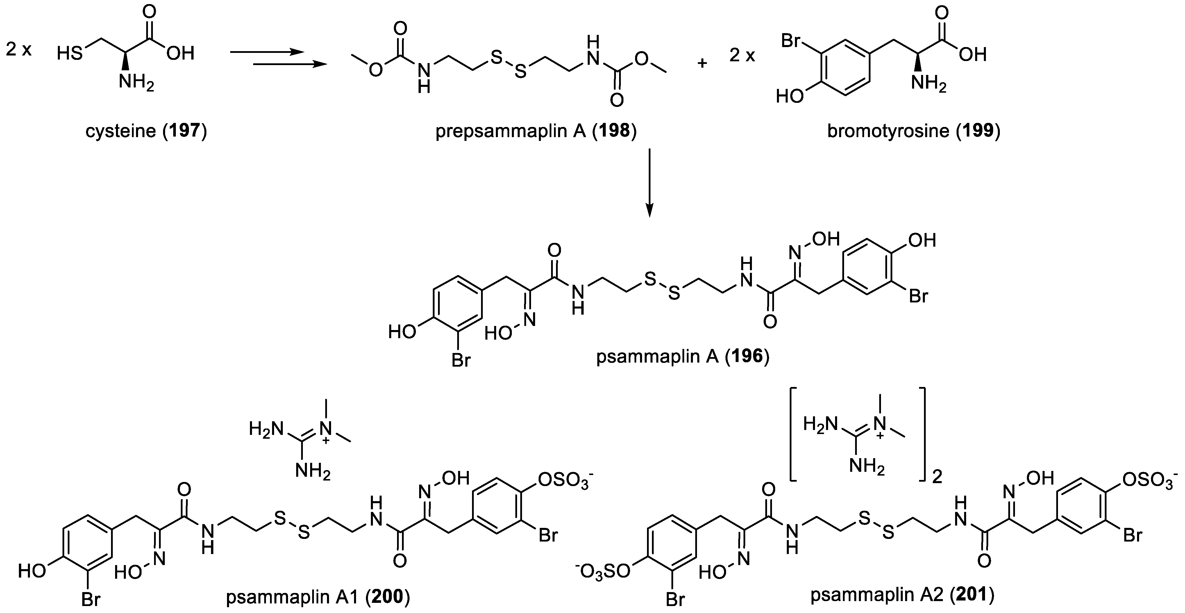 Marinedrugs 22 00132 g027