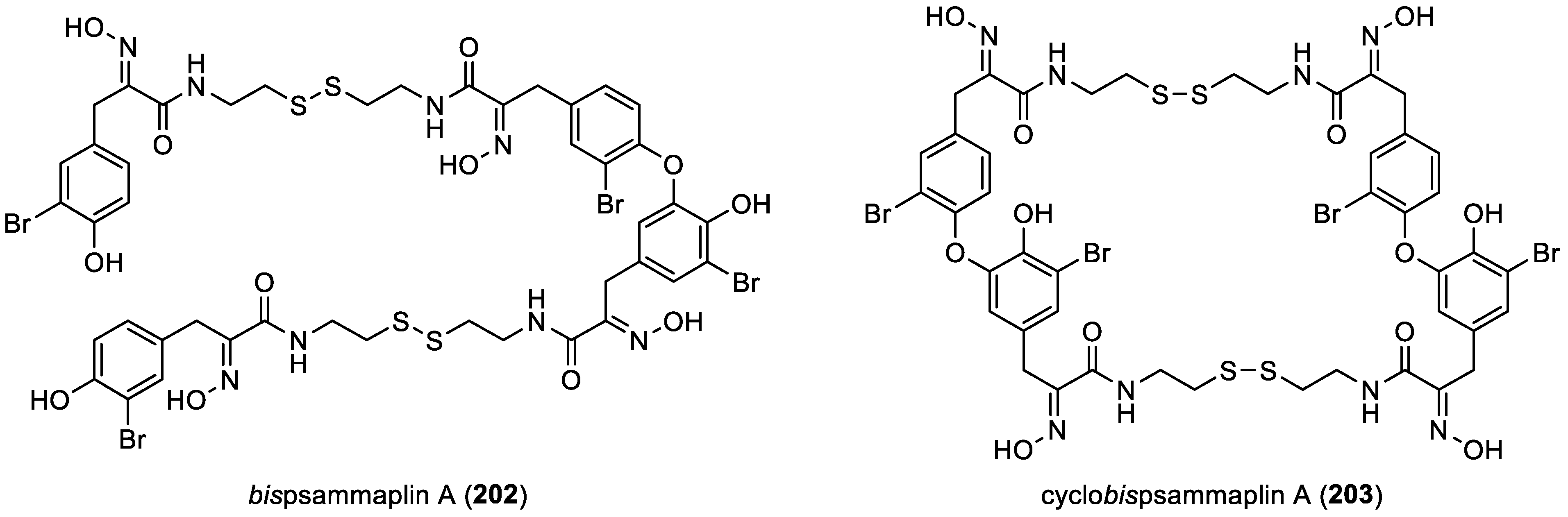 Marinedrugs 22 00132 g028