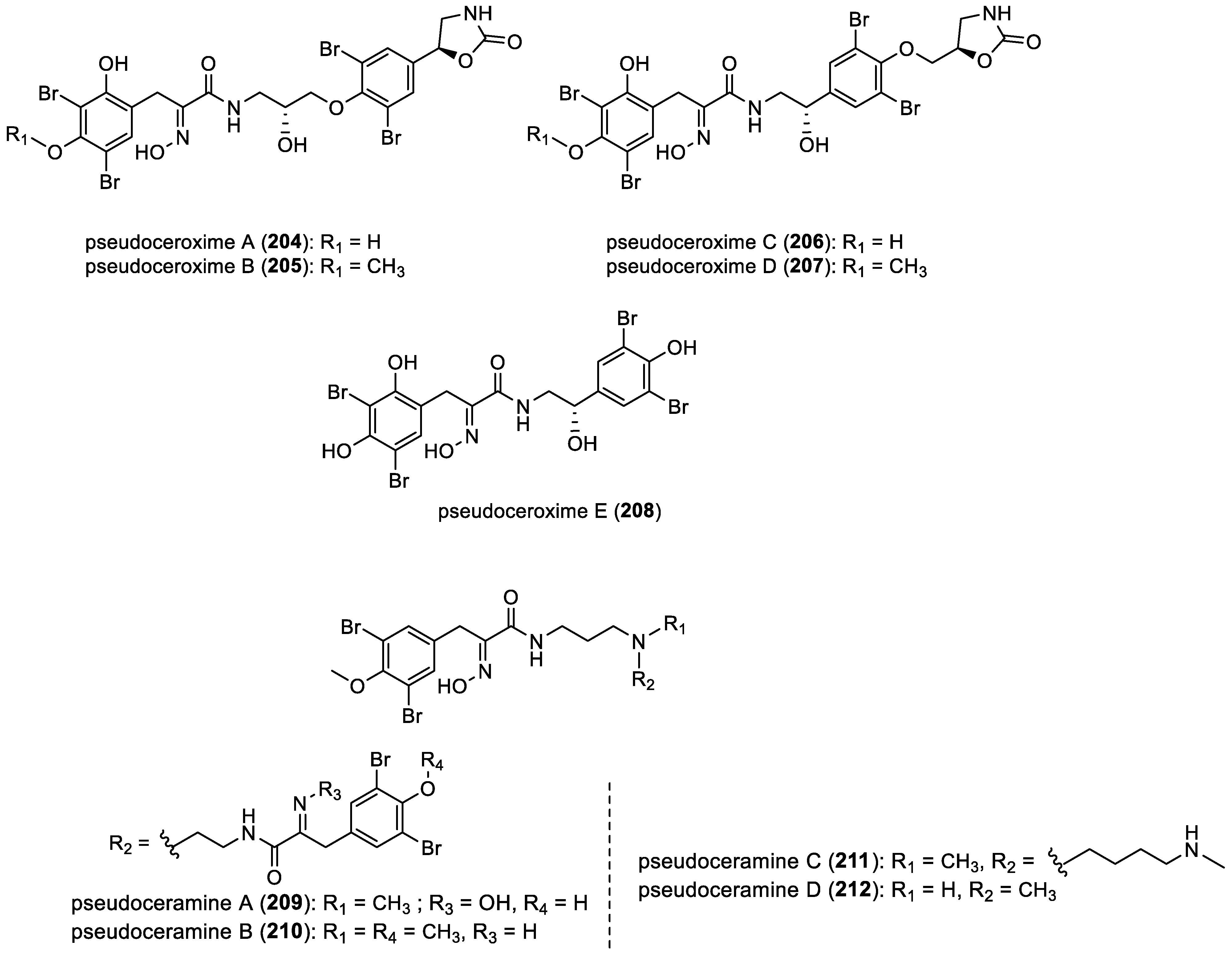 Marinedrugs 22 00132 g029