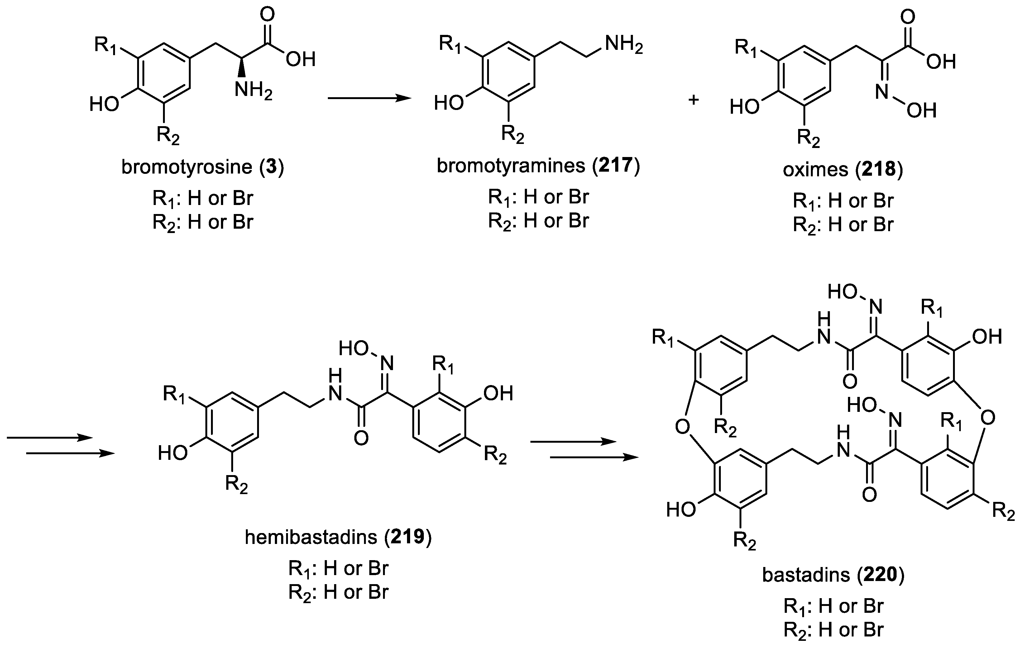 Marinedrugs 22 00132 g031