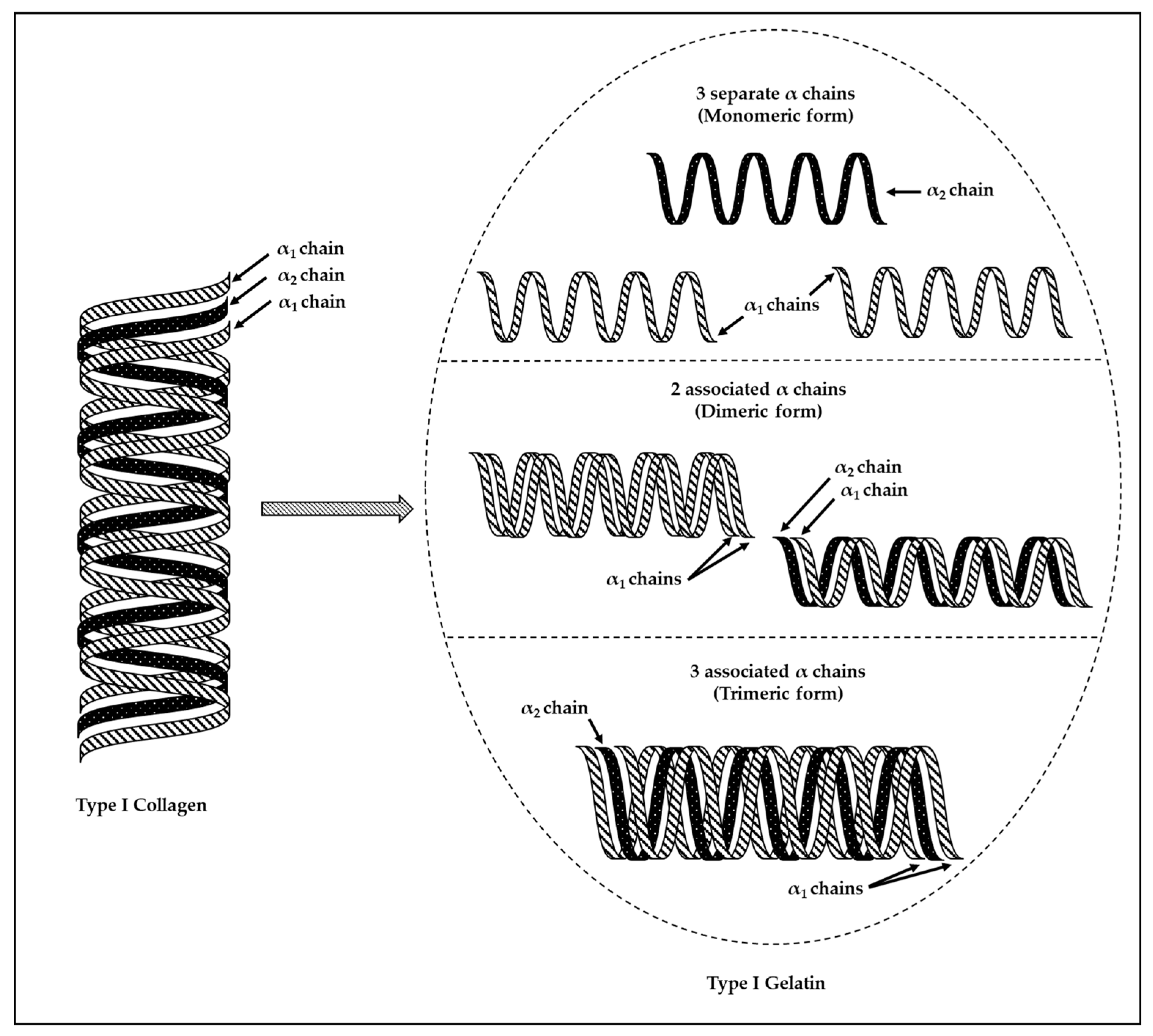 Marinedrugs 22 00134 g008