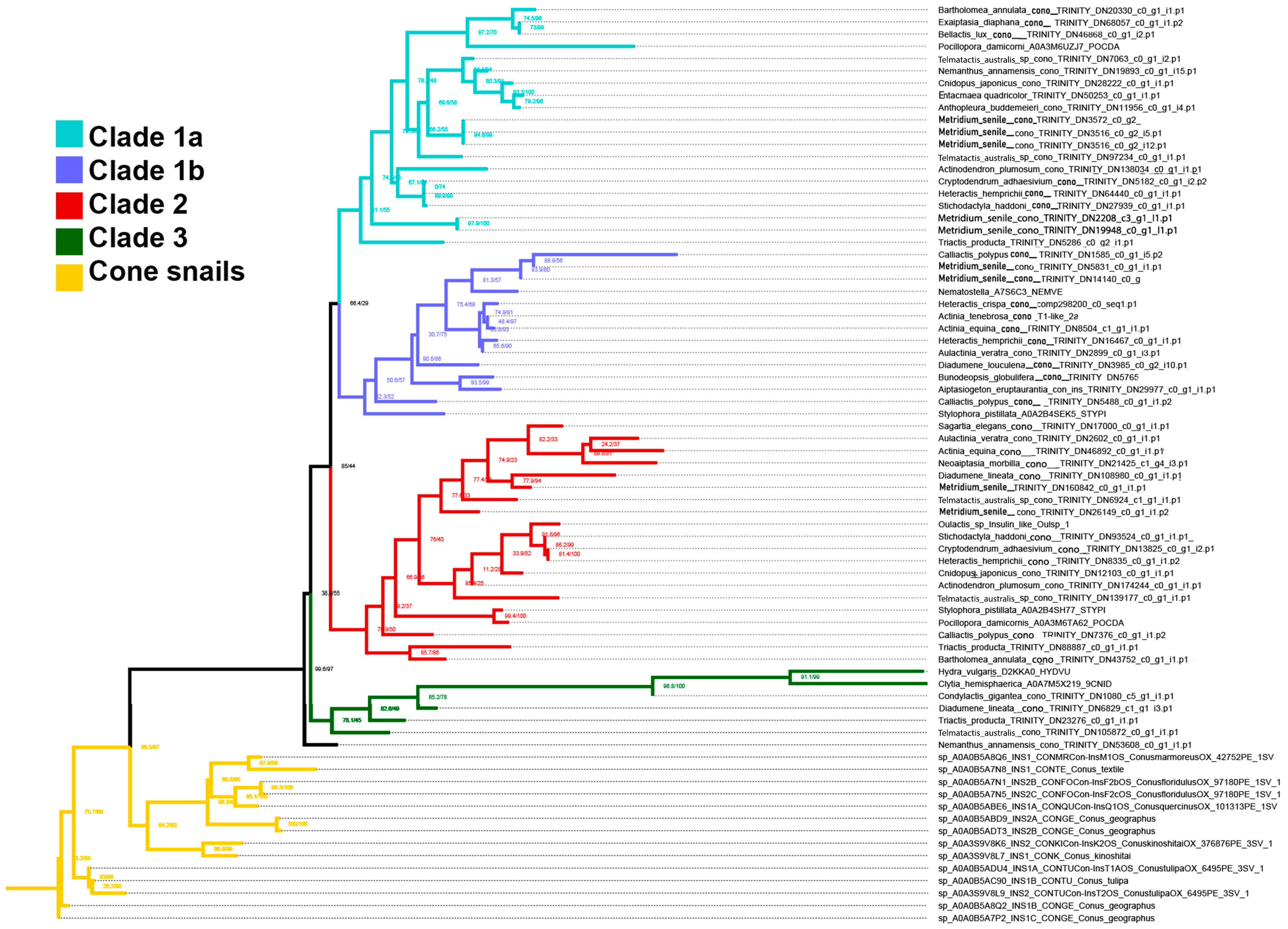 Marinedrugs 22 00136 g004