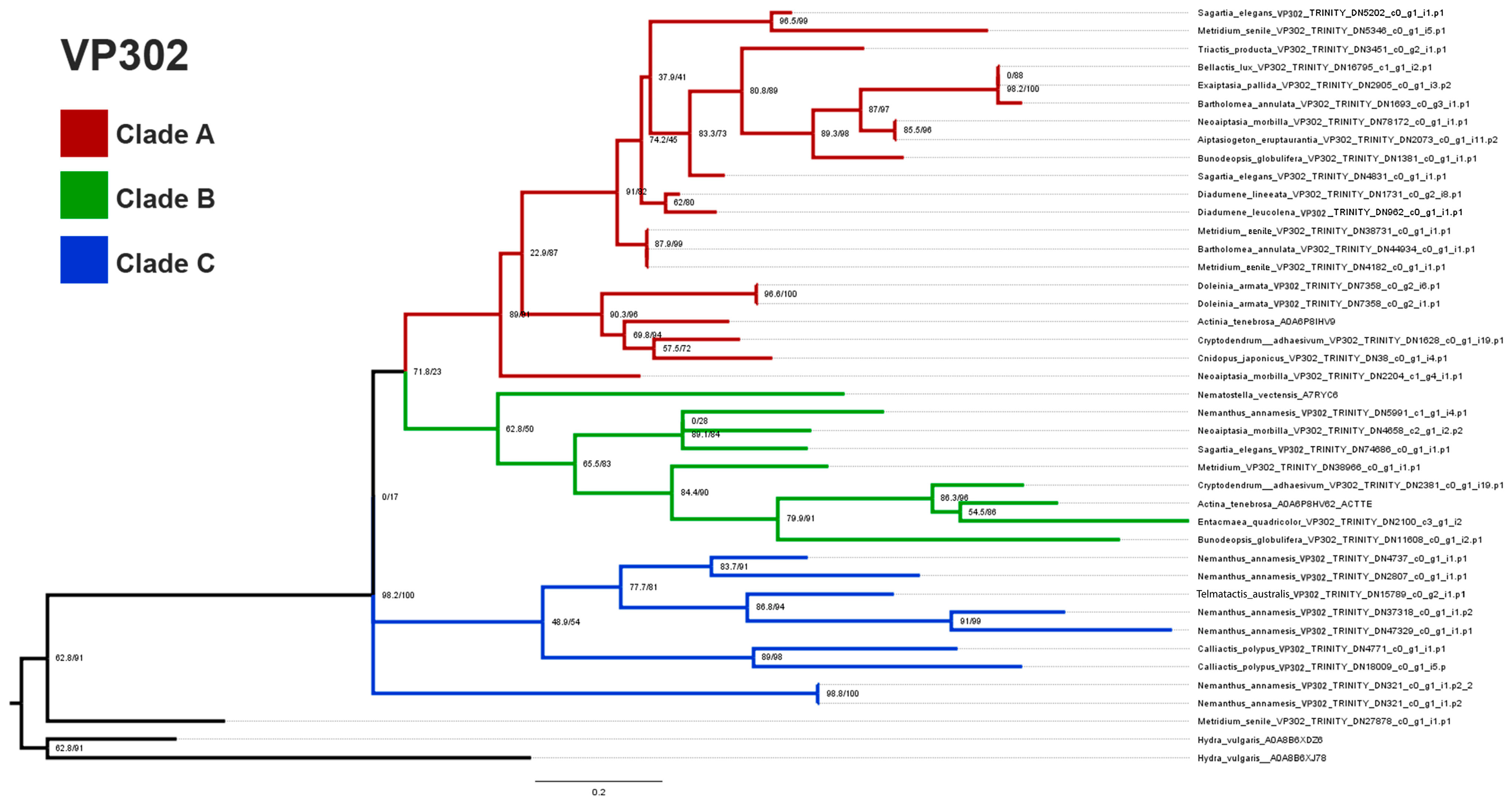 Marinedrugs 22 00136 g005