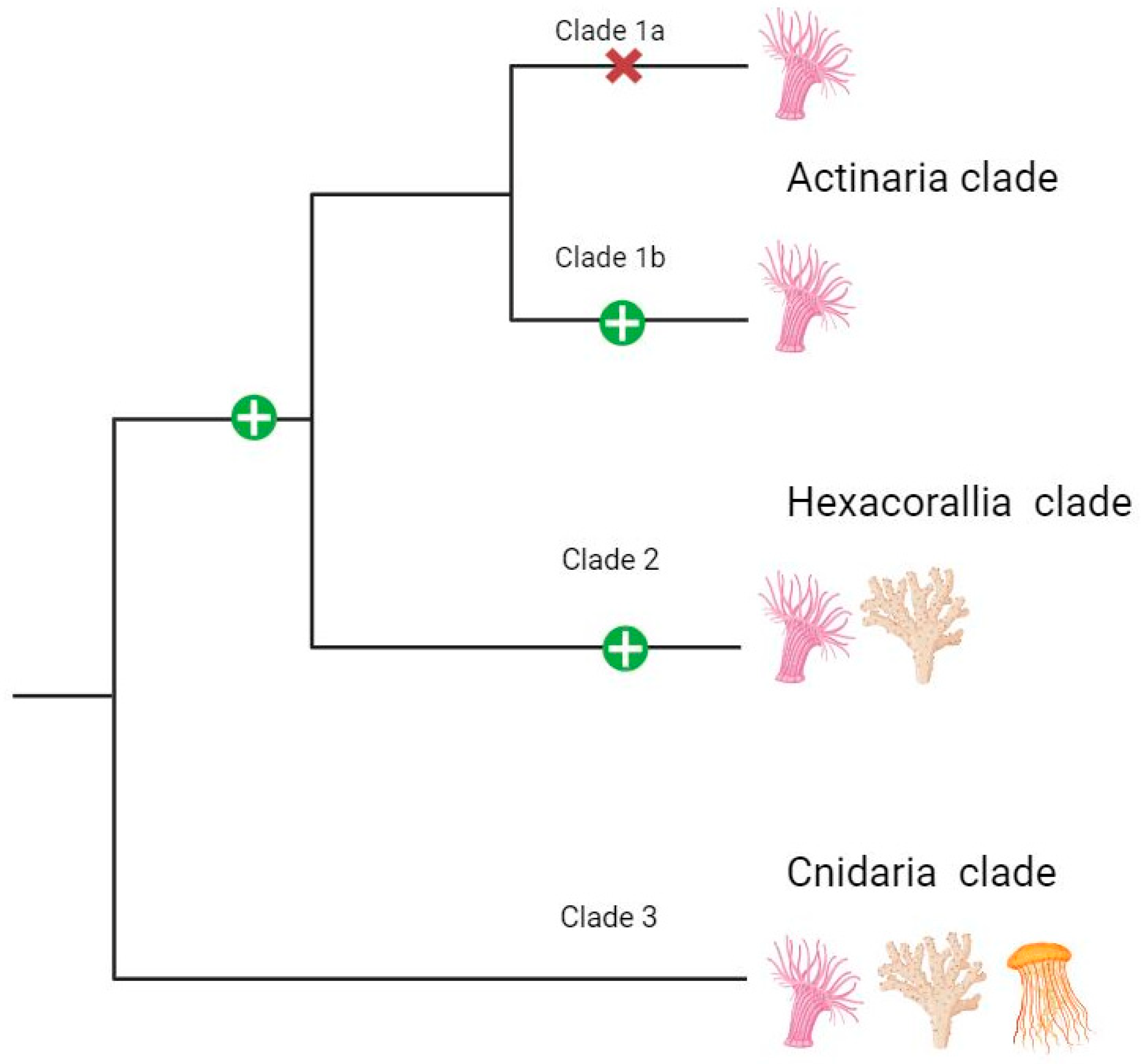 Marinedrugs 22 00136 g007