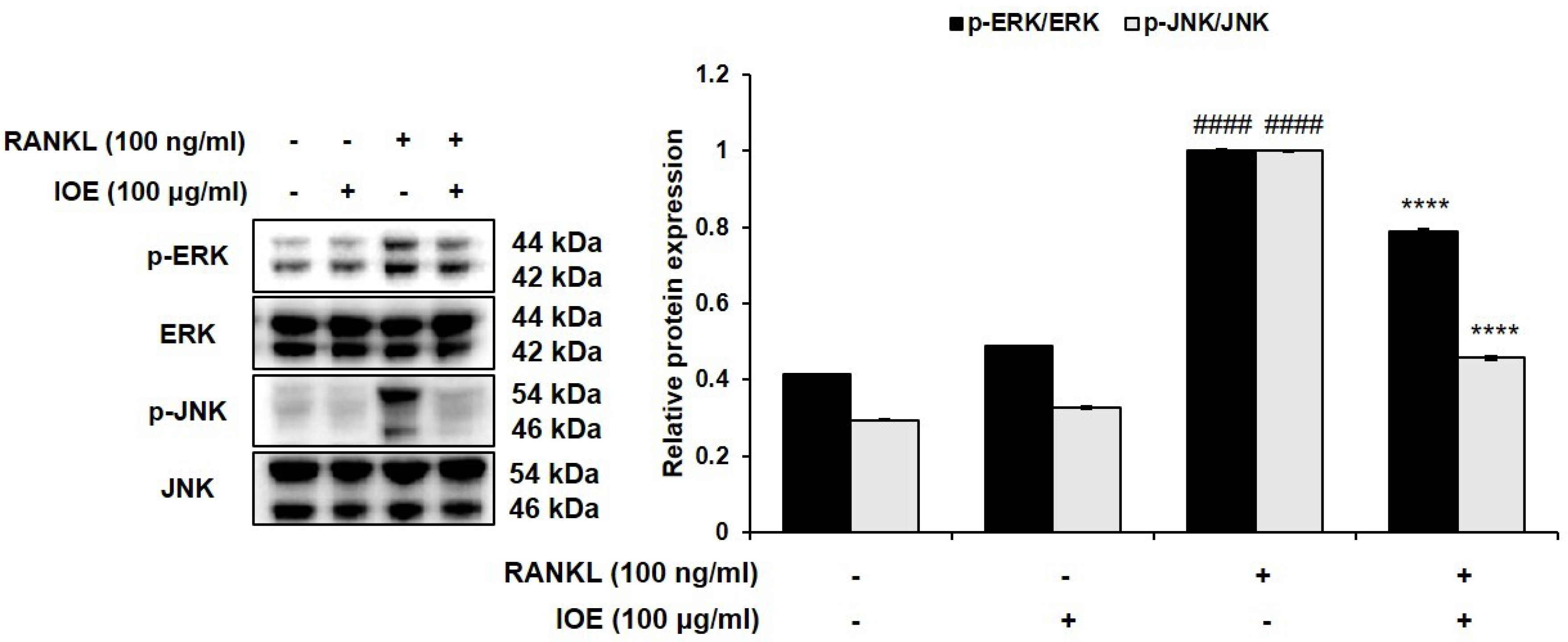 Marinedrugs 22 00137 g005