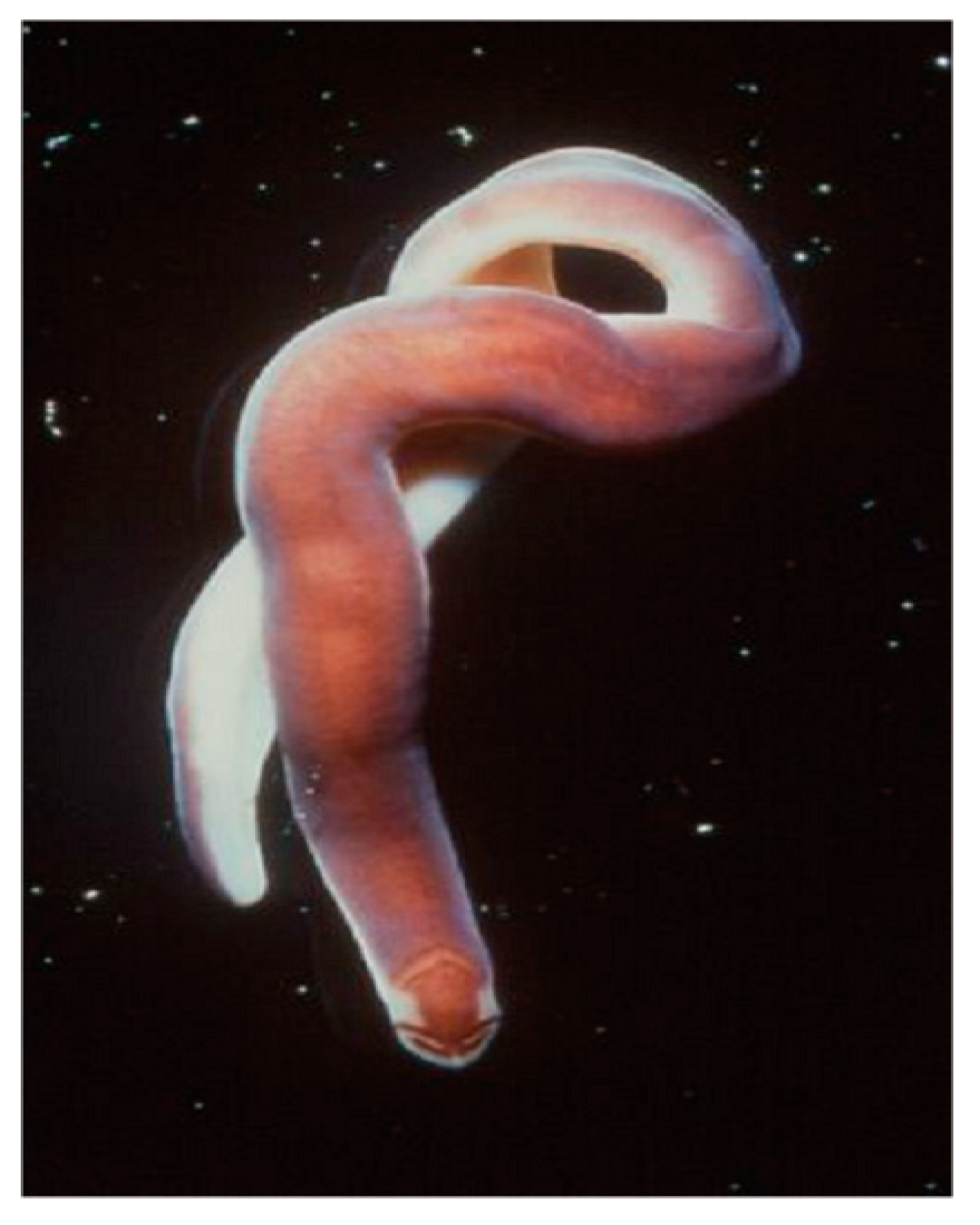 Marinedrugs 22 00141 g002