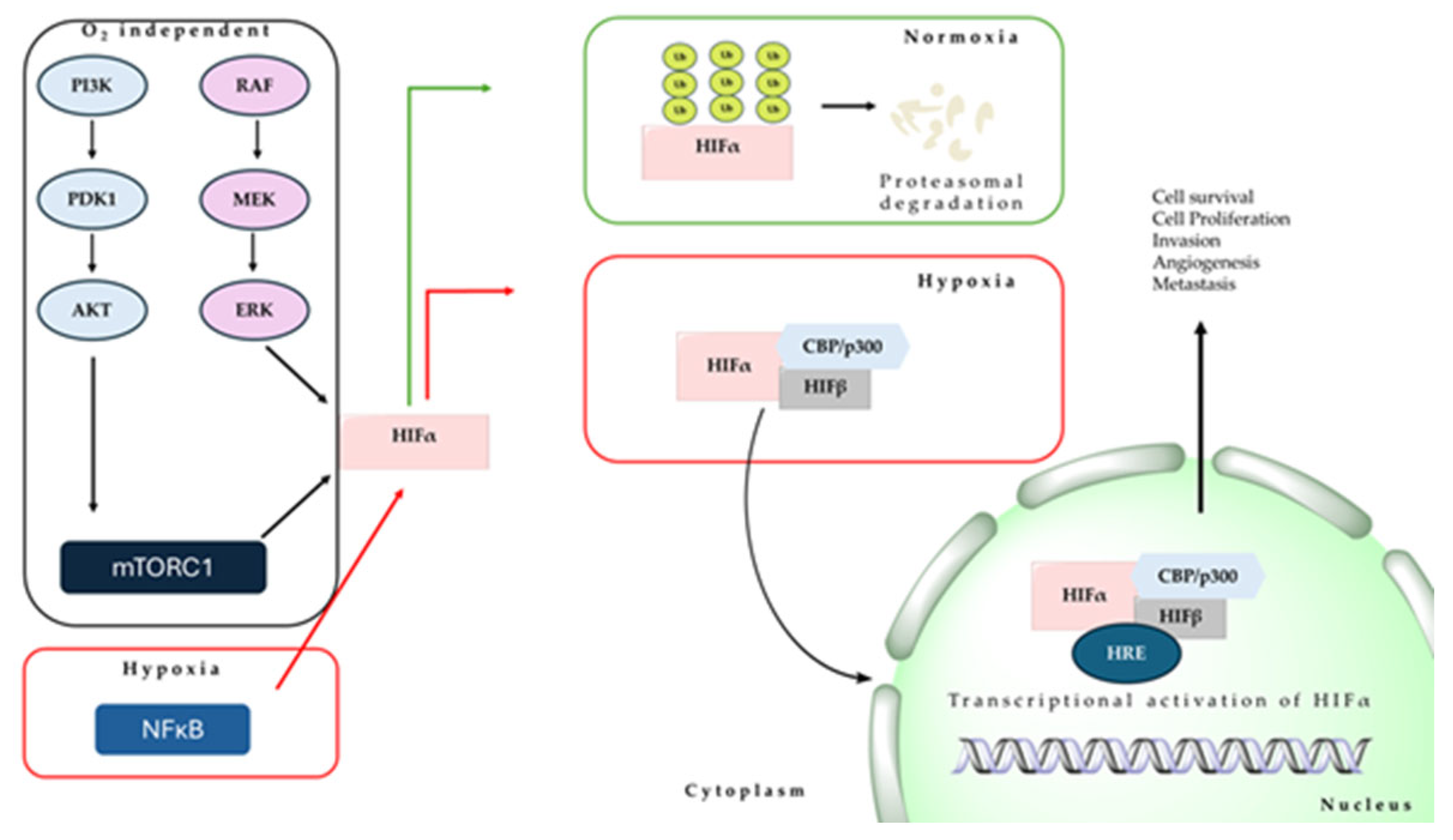 Marinedrugs 22 00143 g001