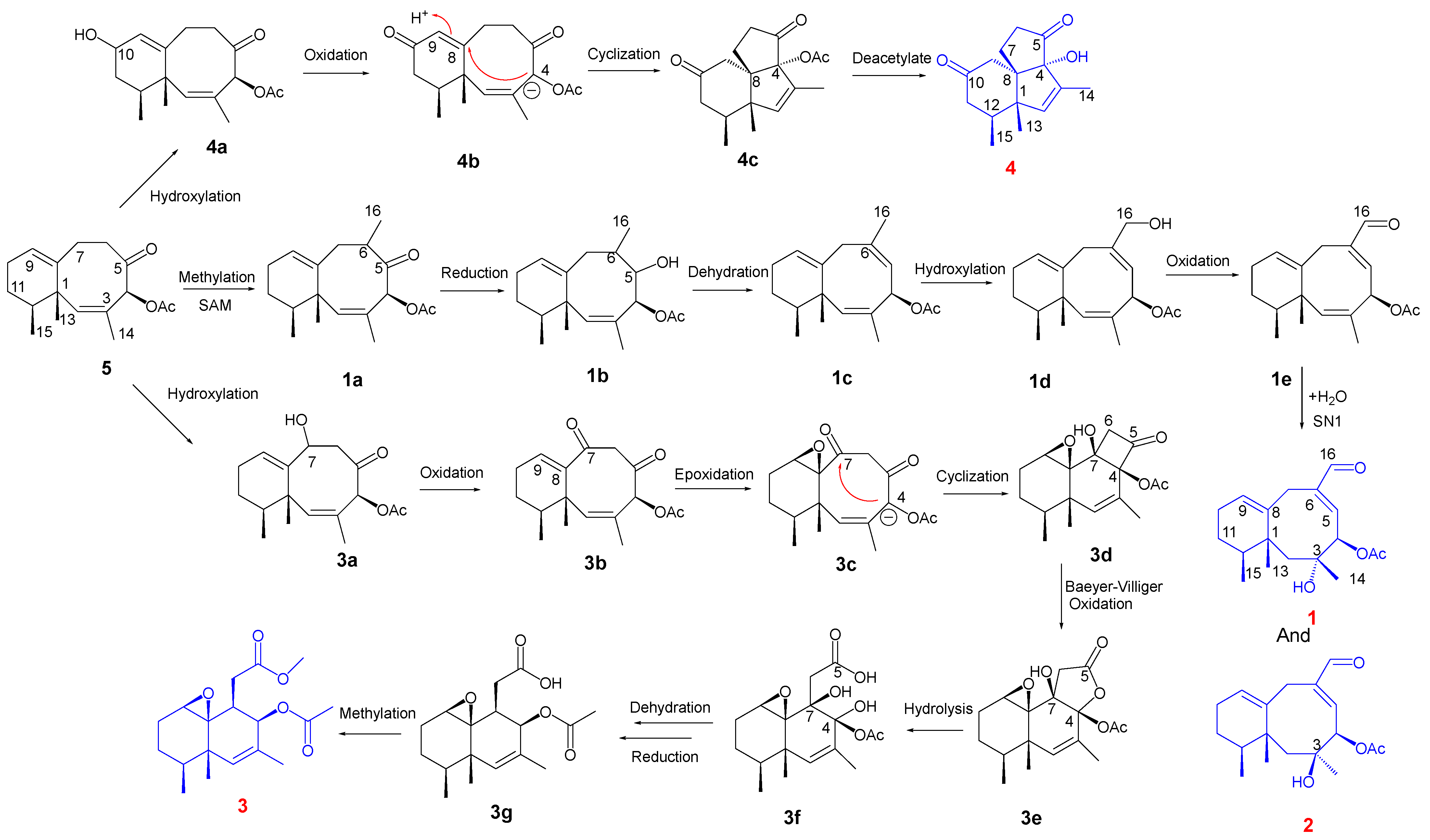 Marinedrugs 22 00145 sch001