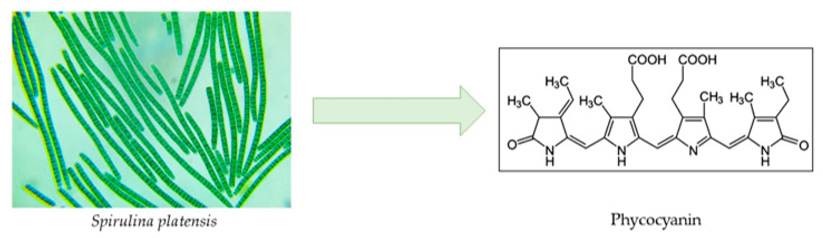 Marinedrugs 22 00152 g007