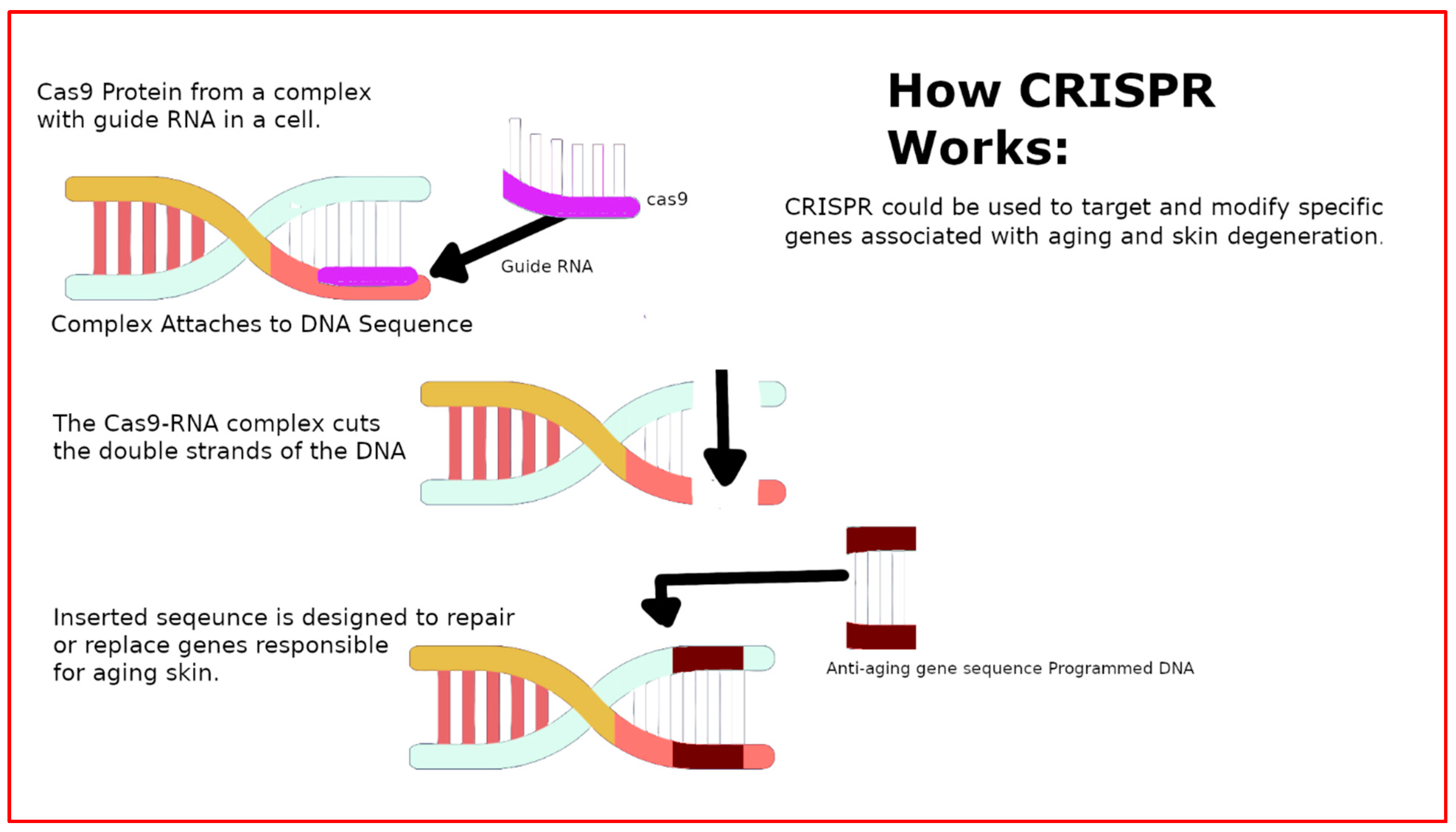 Marinedrugs 22 00159 g003