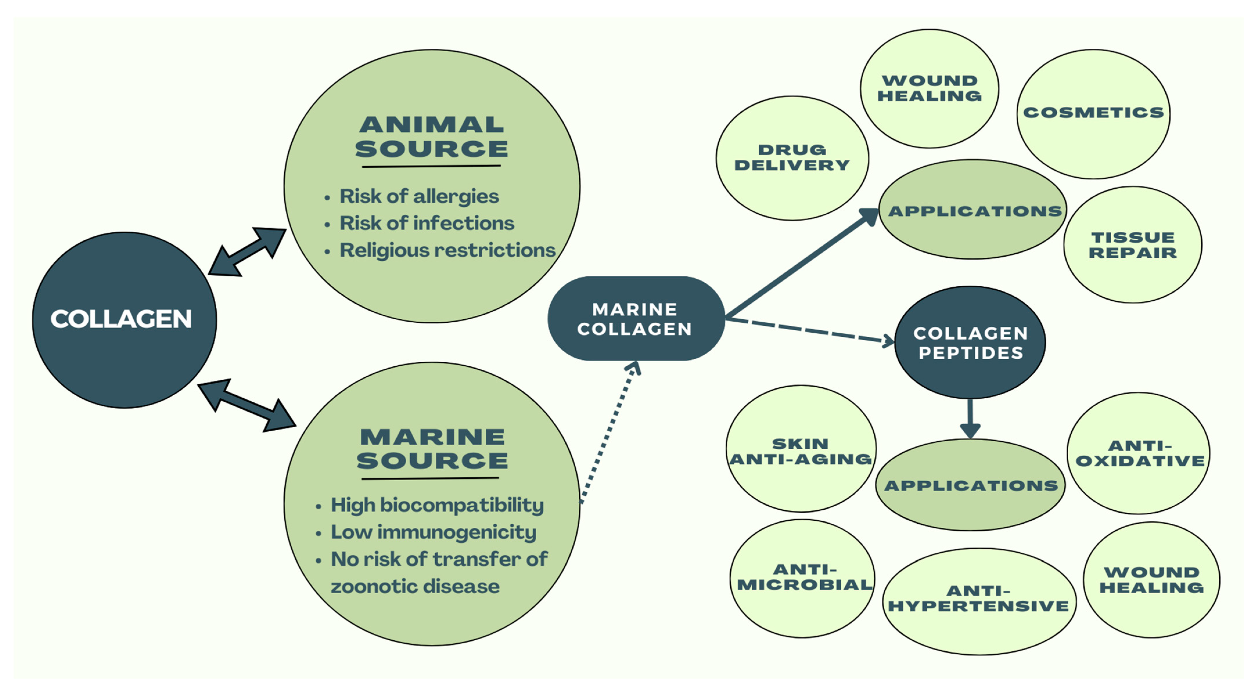 Marinedrugs 22 00159 g004