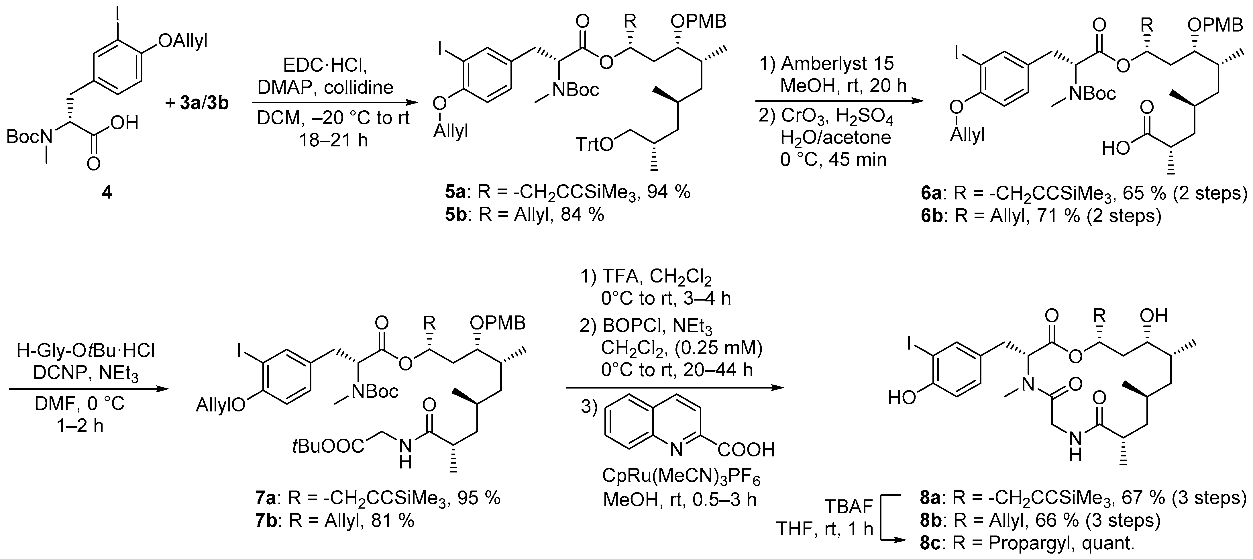 Marinedrugs 22 00165 sch002 Marinedrugs 22 00165 sch002