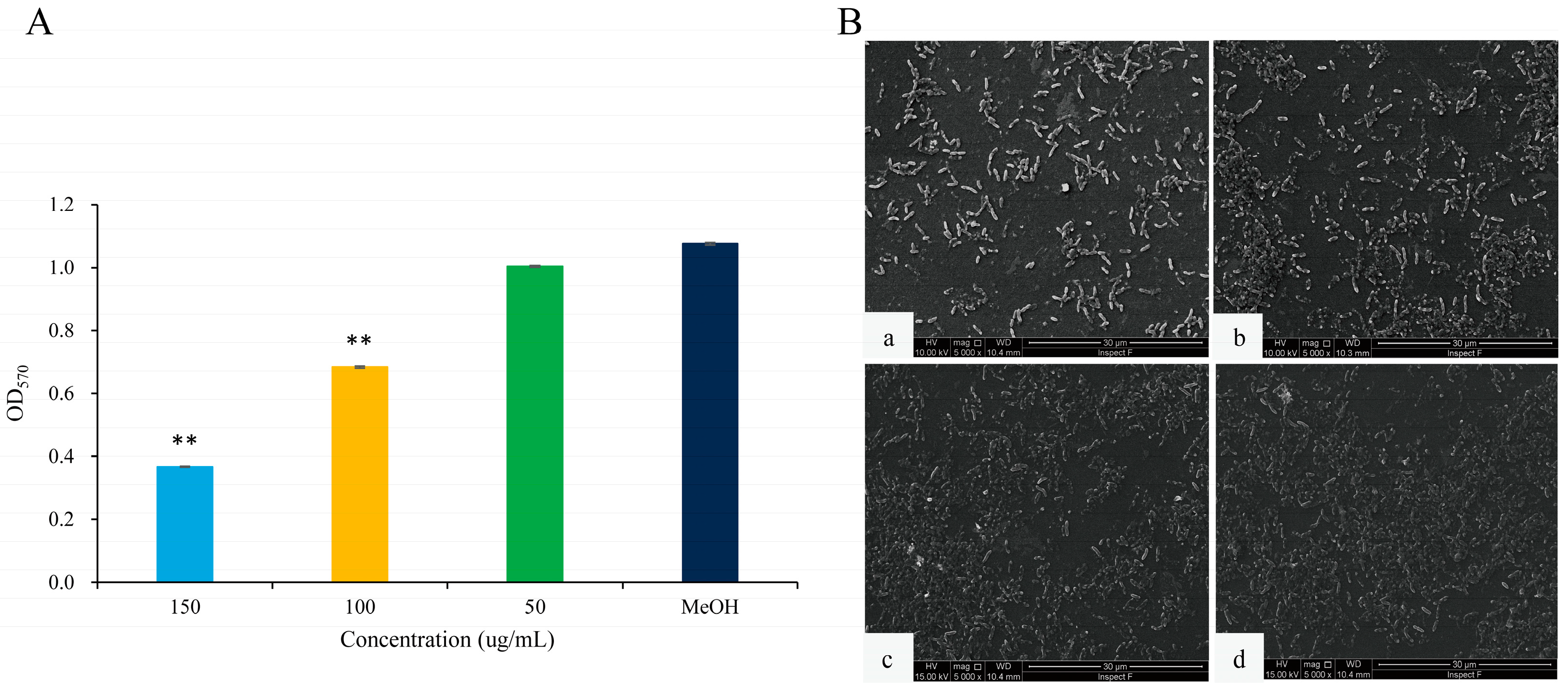 Marinedrugs 22 00177 g005