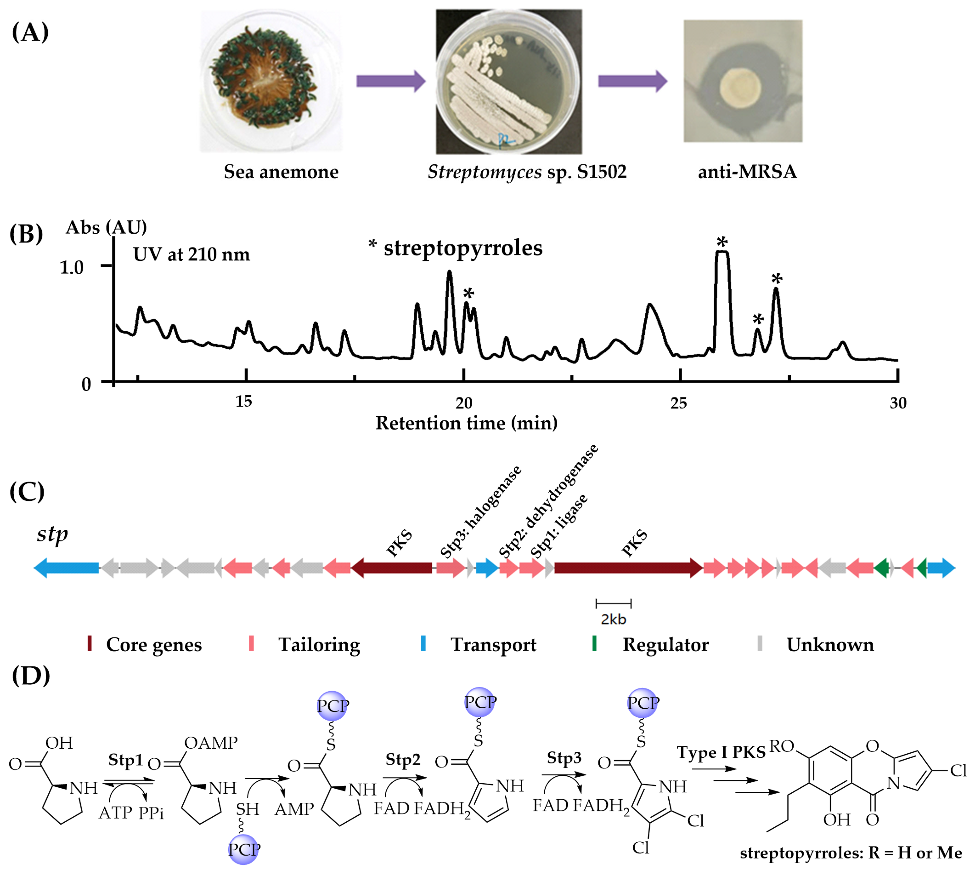 Marinedrugs 22 00195 g002