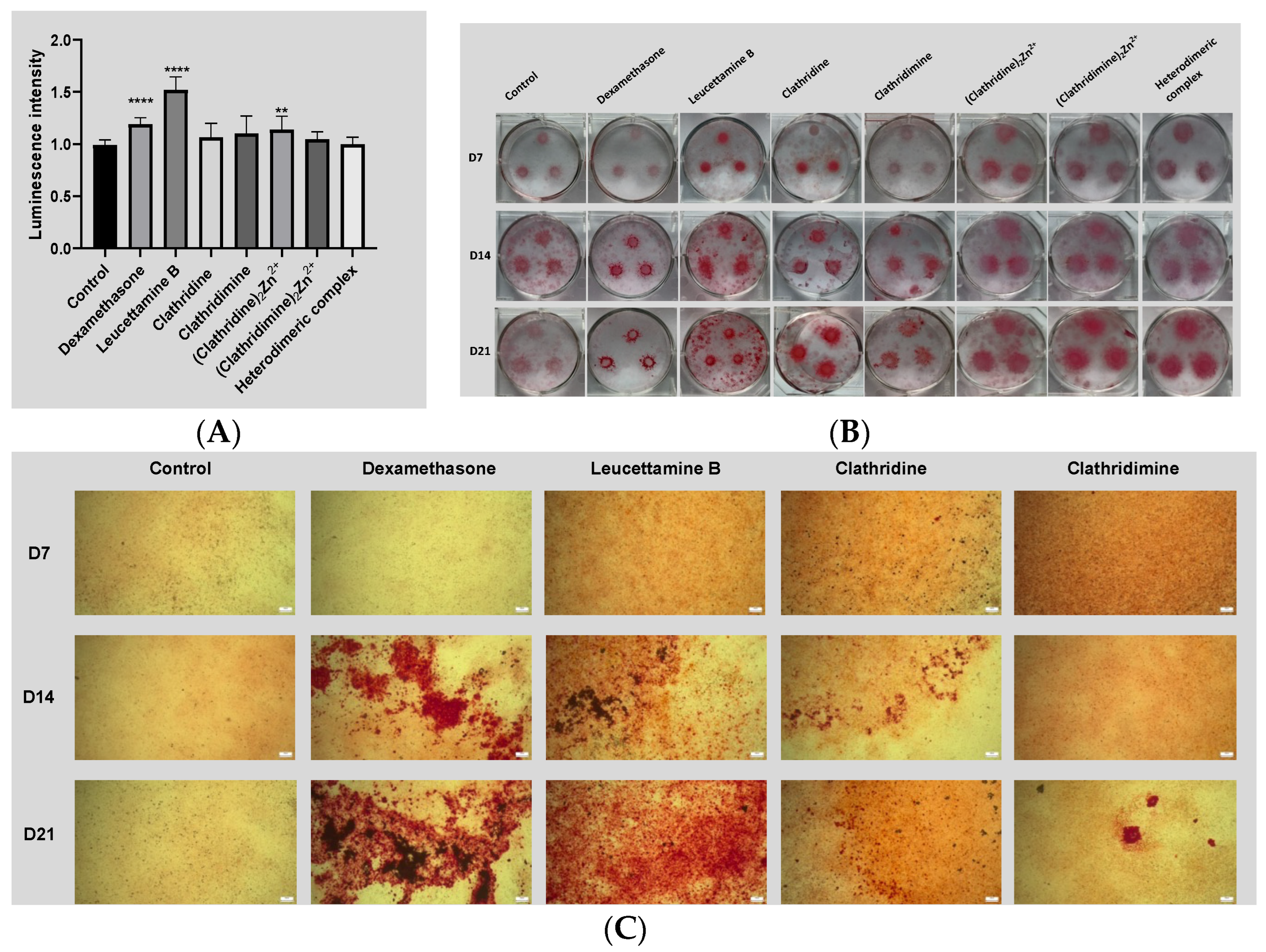 Marinedrugs 22 00196 g004